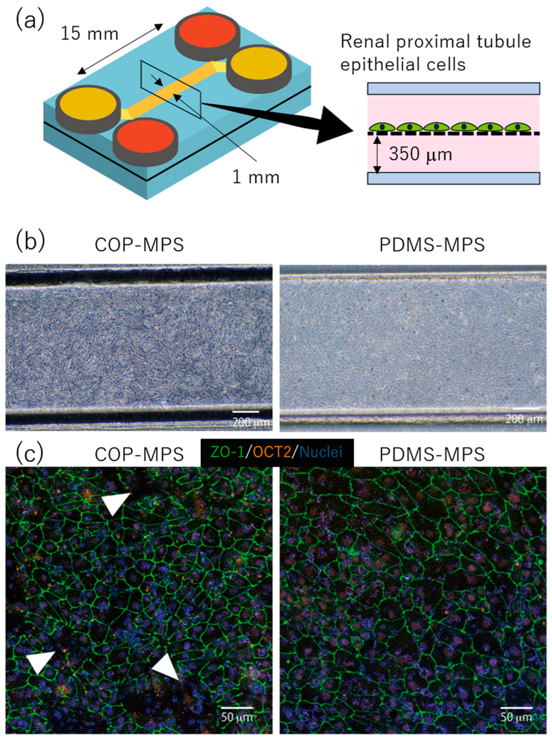 Micromachines 14 00761 g004