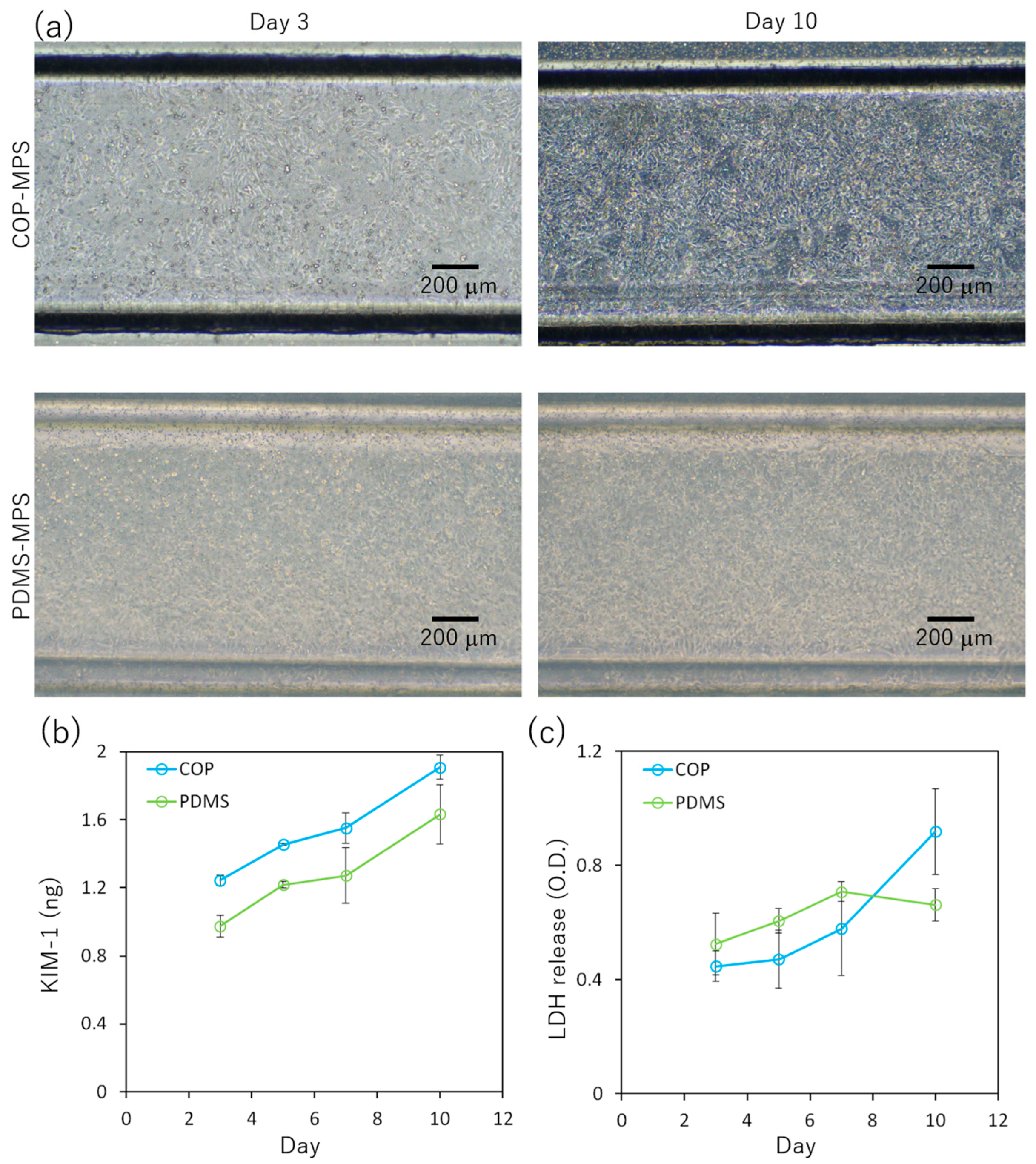 Micromachines 14 00761 g005