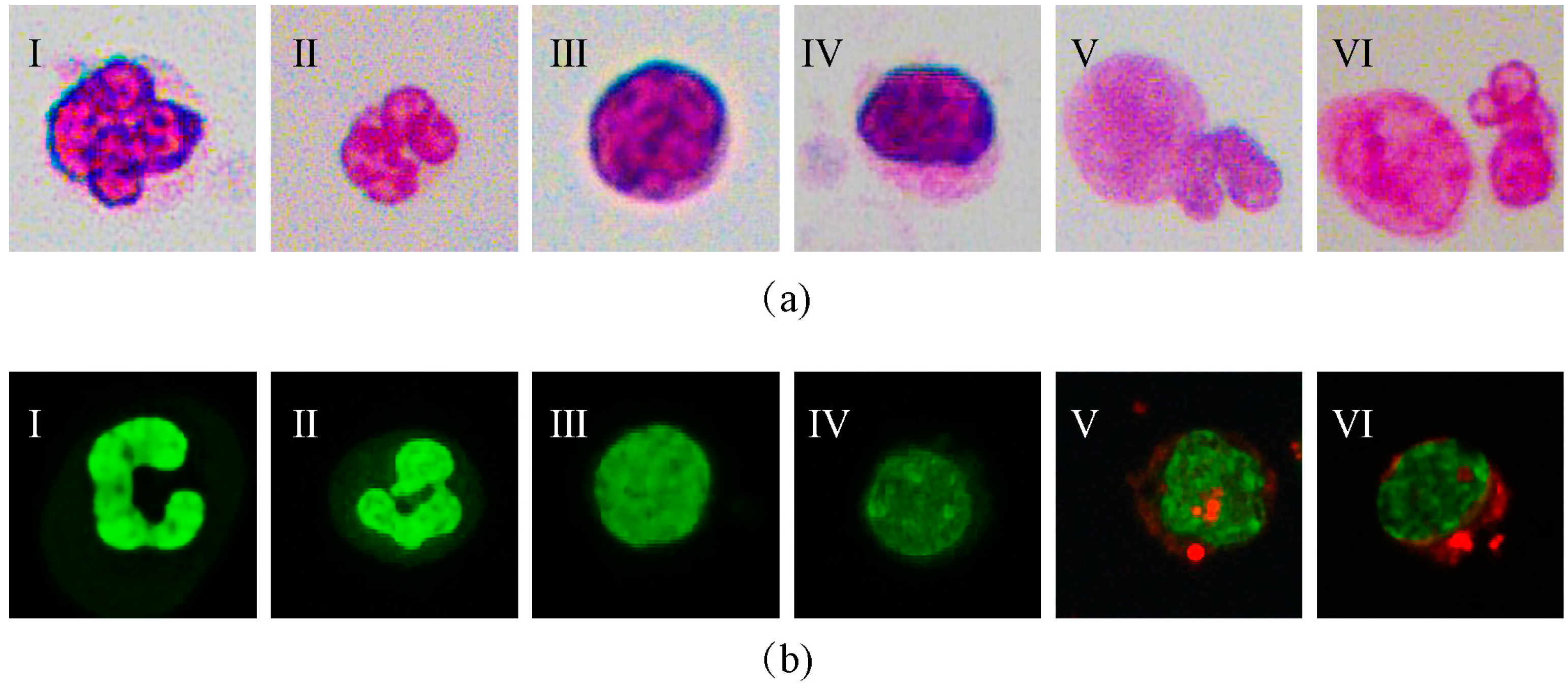 Micromachines 14 00771 g001