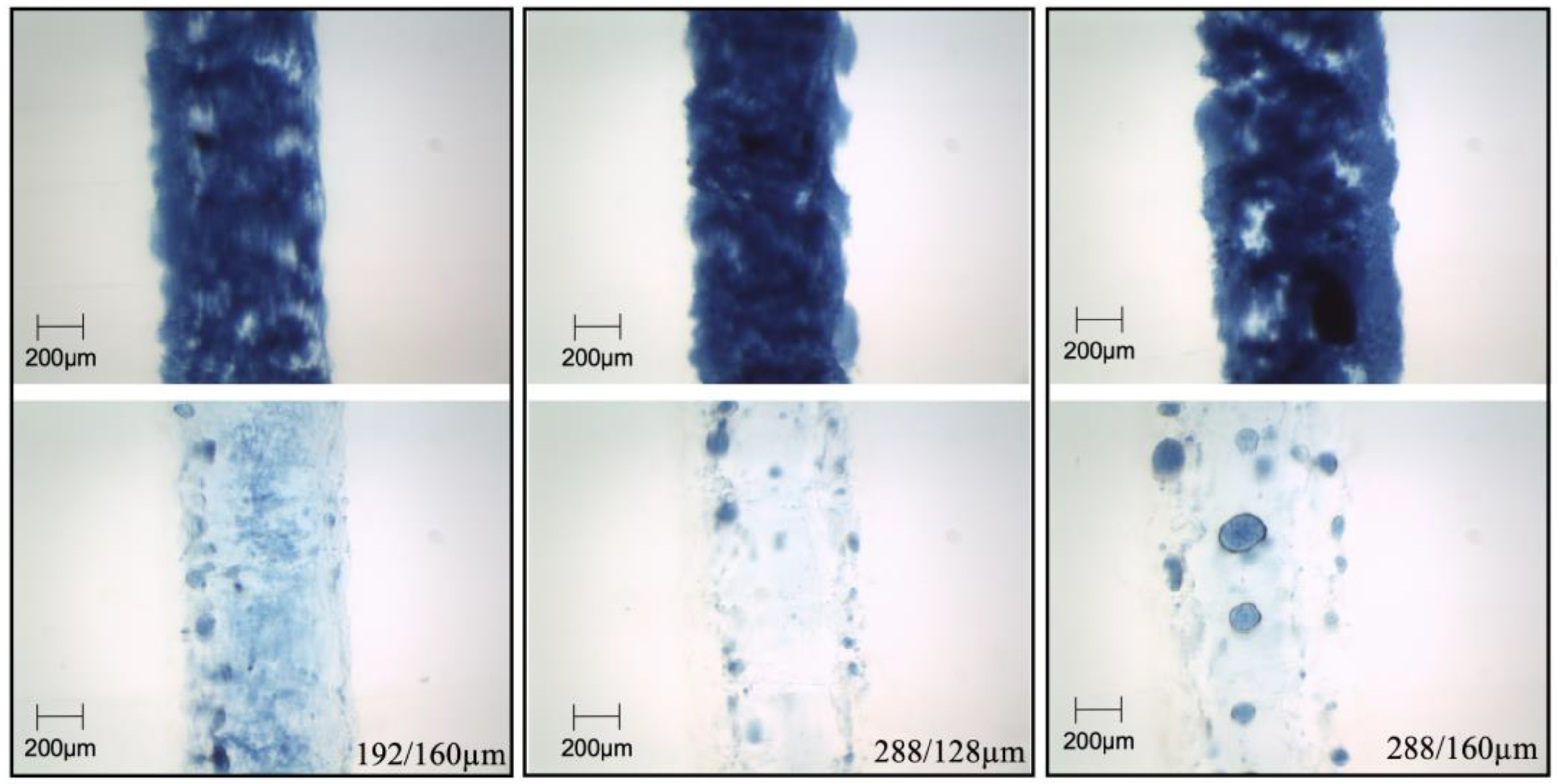 Micromachines 14 00807 g004