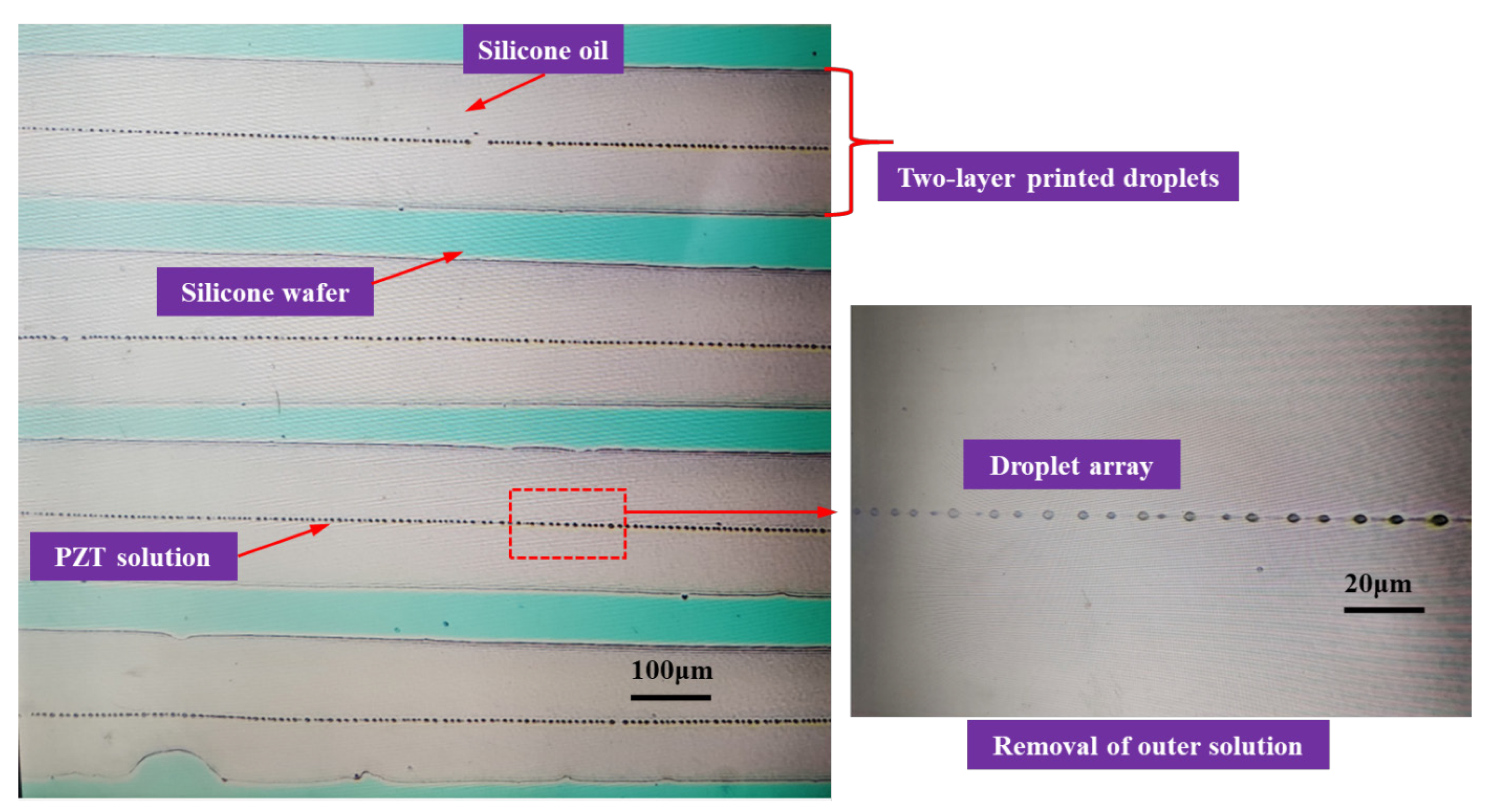 Micromachines 14 00812 g010
