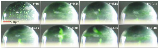 Swirl-like Acoustofluidic Stirring Facilitates Microscale Reactions in ...