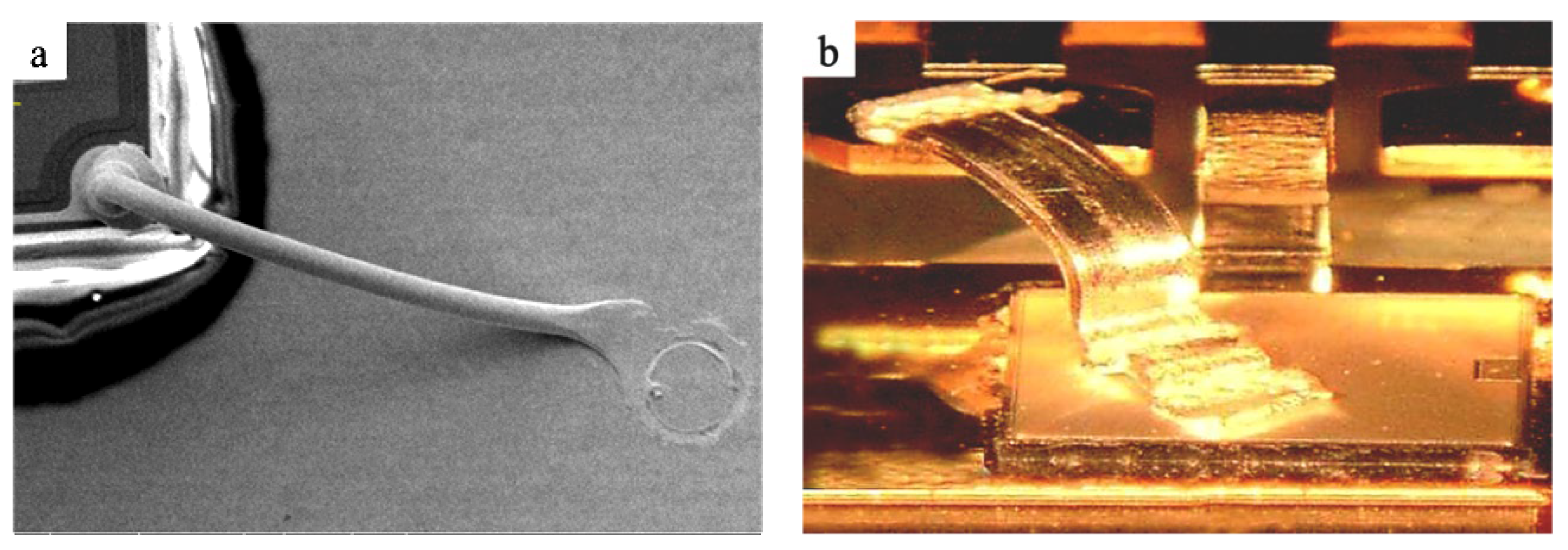 Micromachines 14 00838 g001