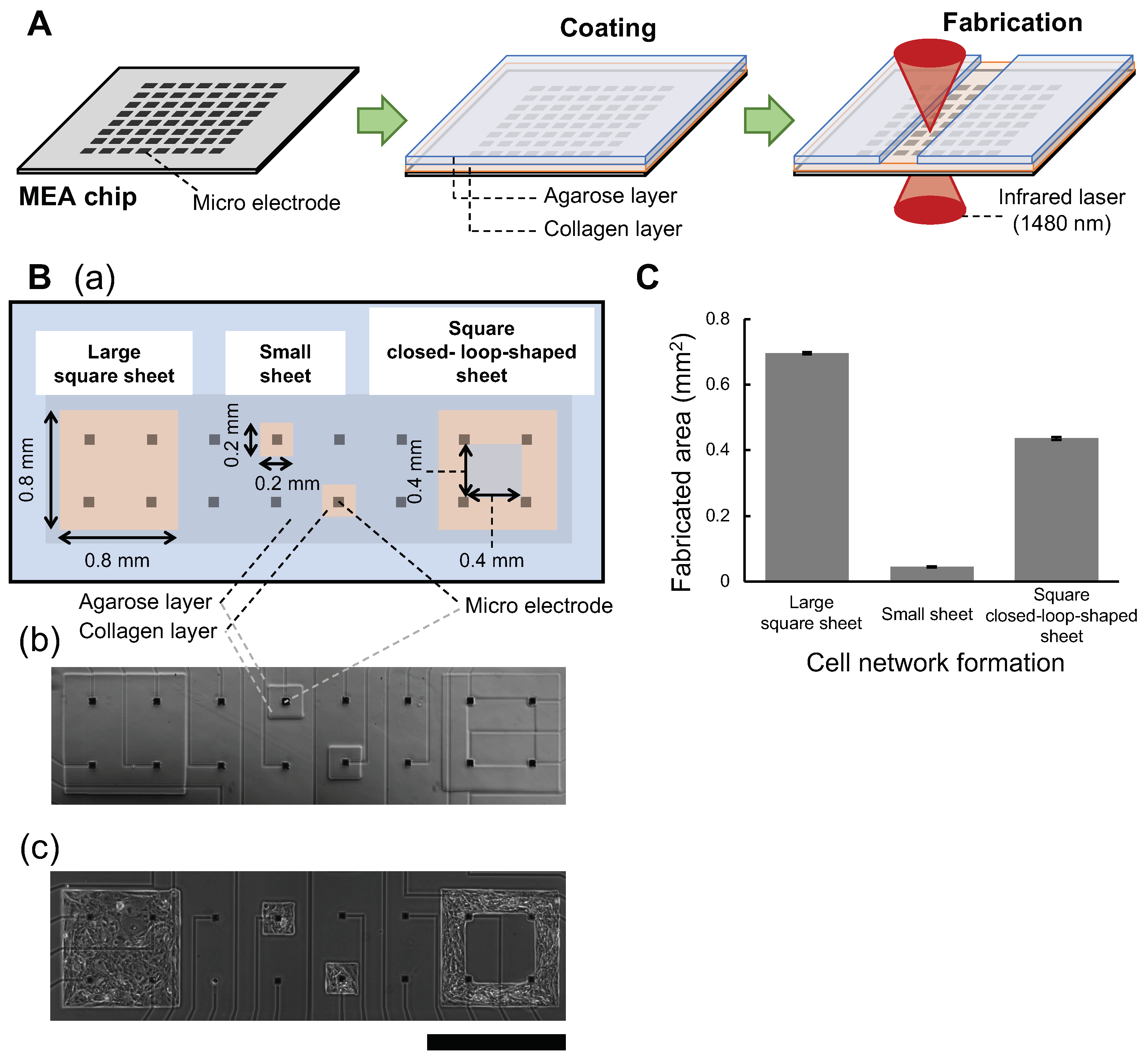 Micromachines 14 00854 g001