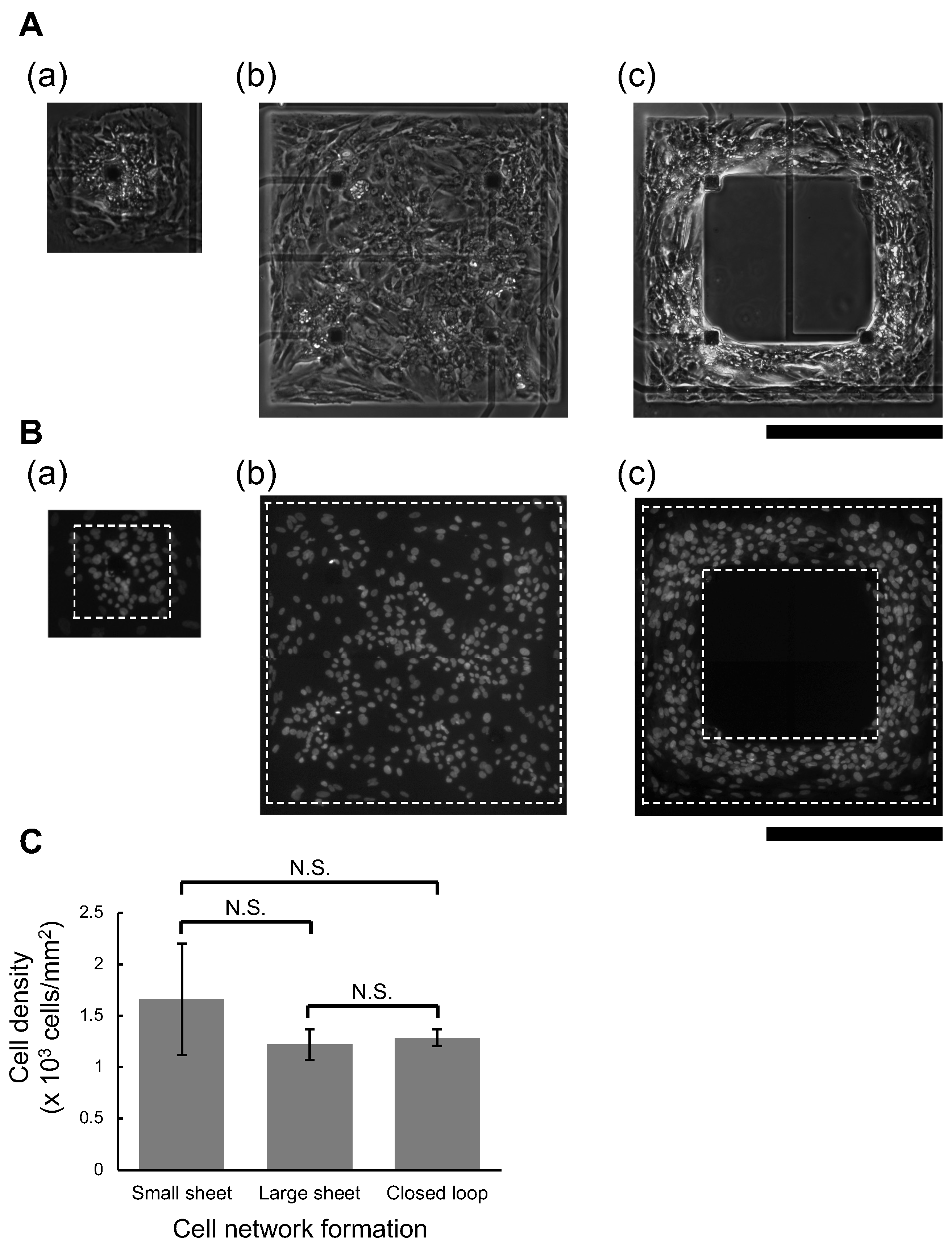 Micromachines 14 00854 g002