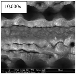 Micromachines 14 00863 i006 Micromachines 14 00863 i006