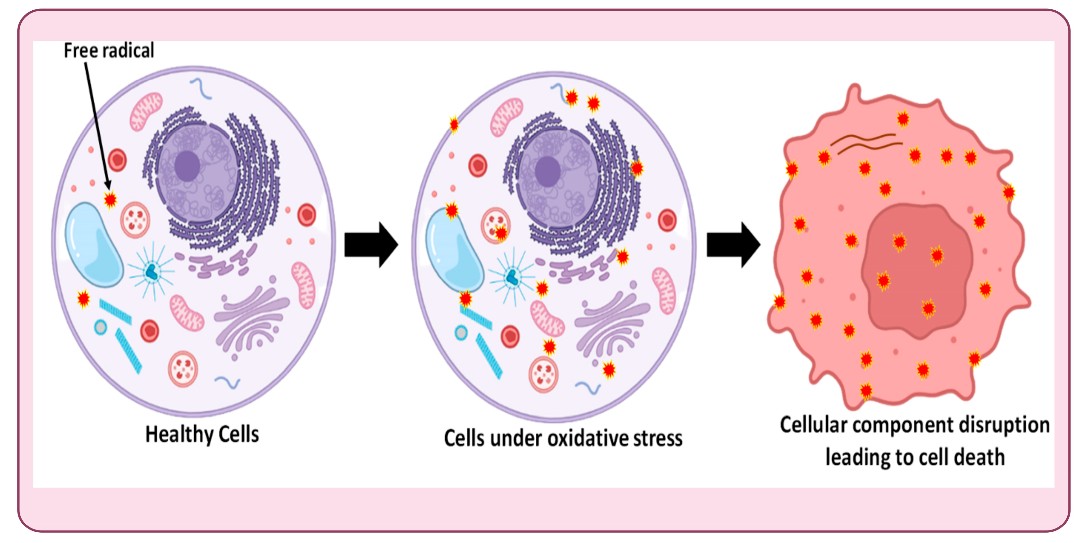 Micromachines 14 00865 g002 Micromachines 14 00865 g002