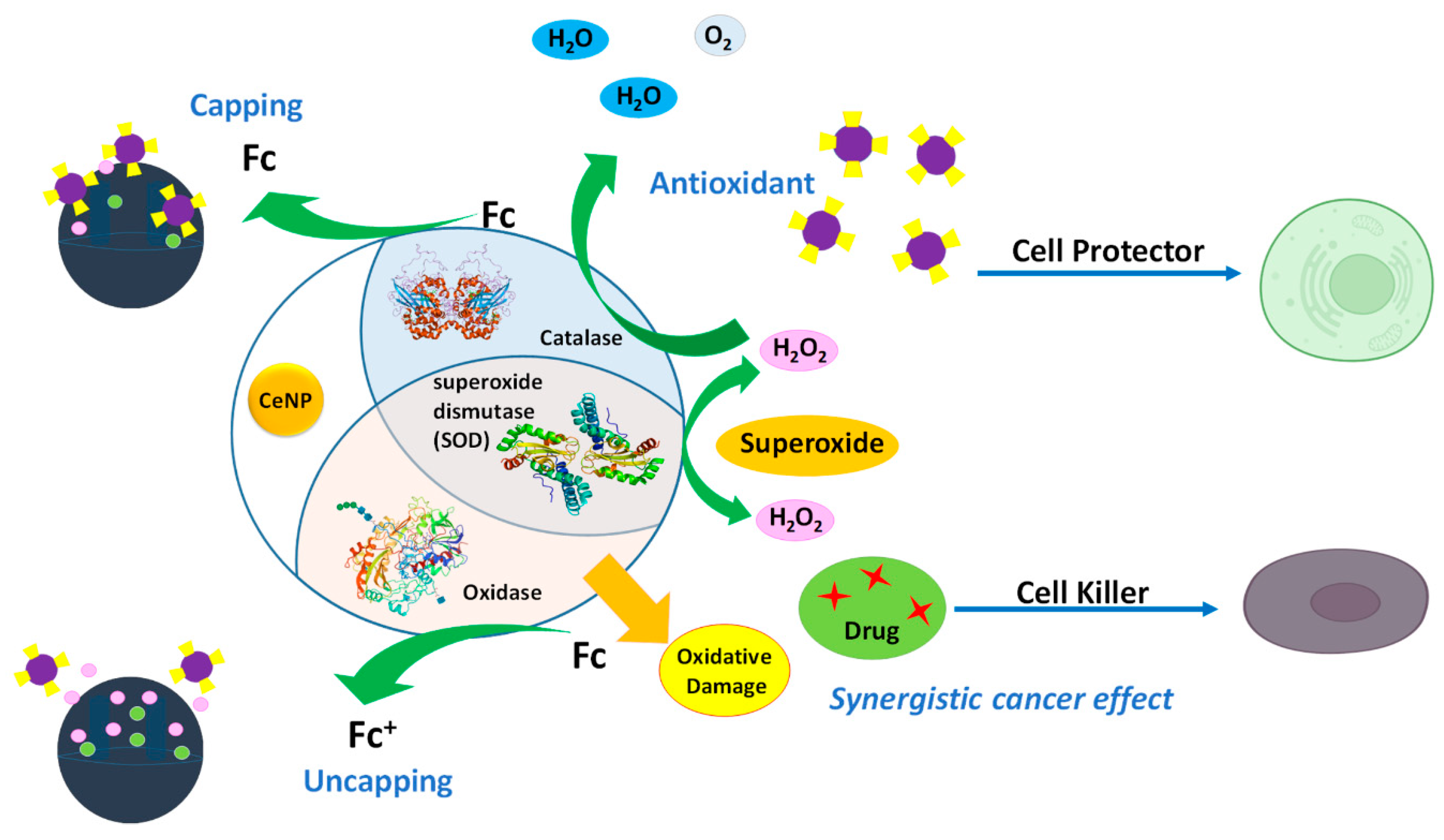 Micromachines 14 00865 g004 Micromachines 14 00865 g004
