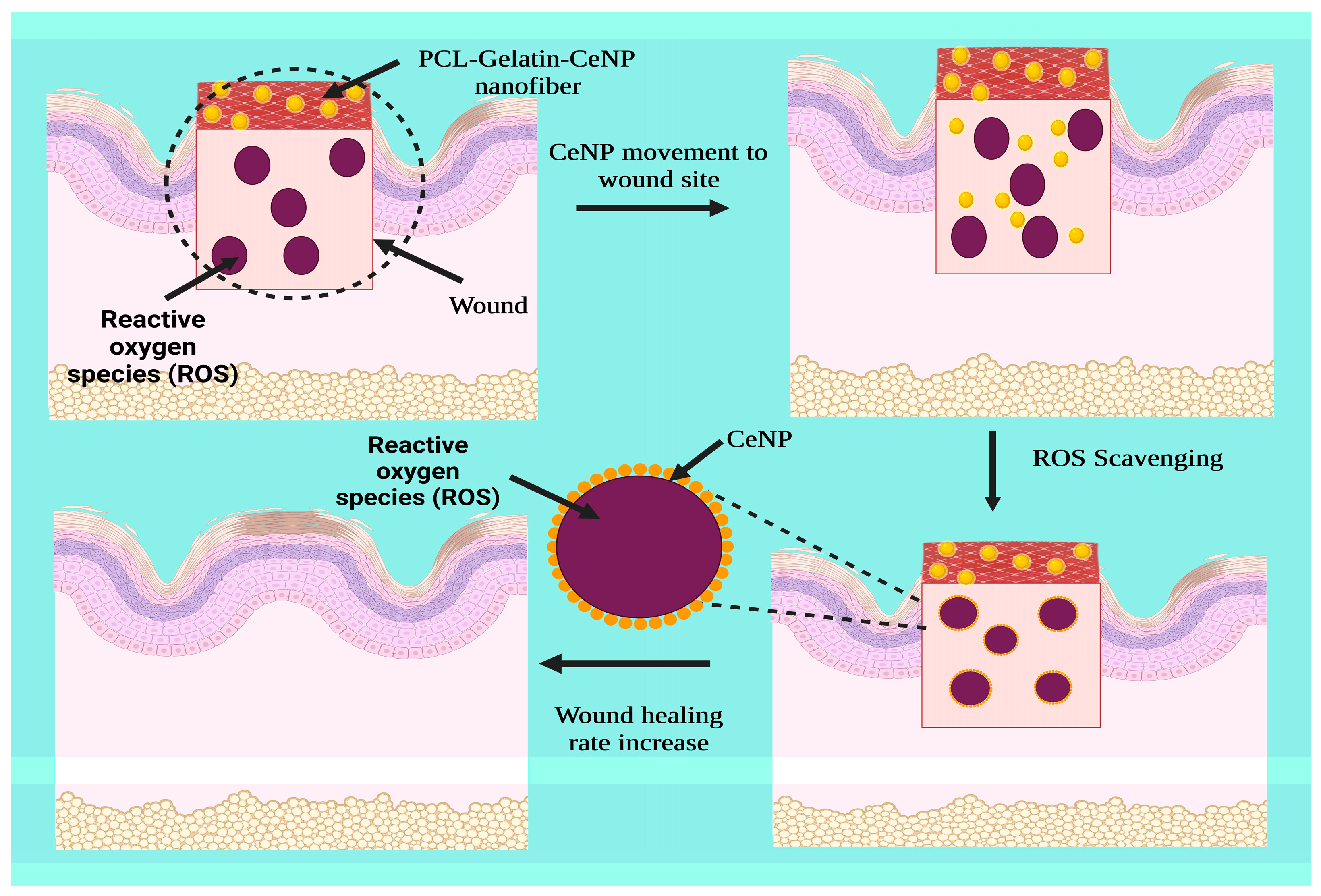 Micromachines 14 00865 g008 Micromachines 14 00865 g008