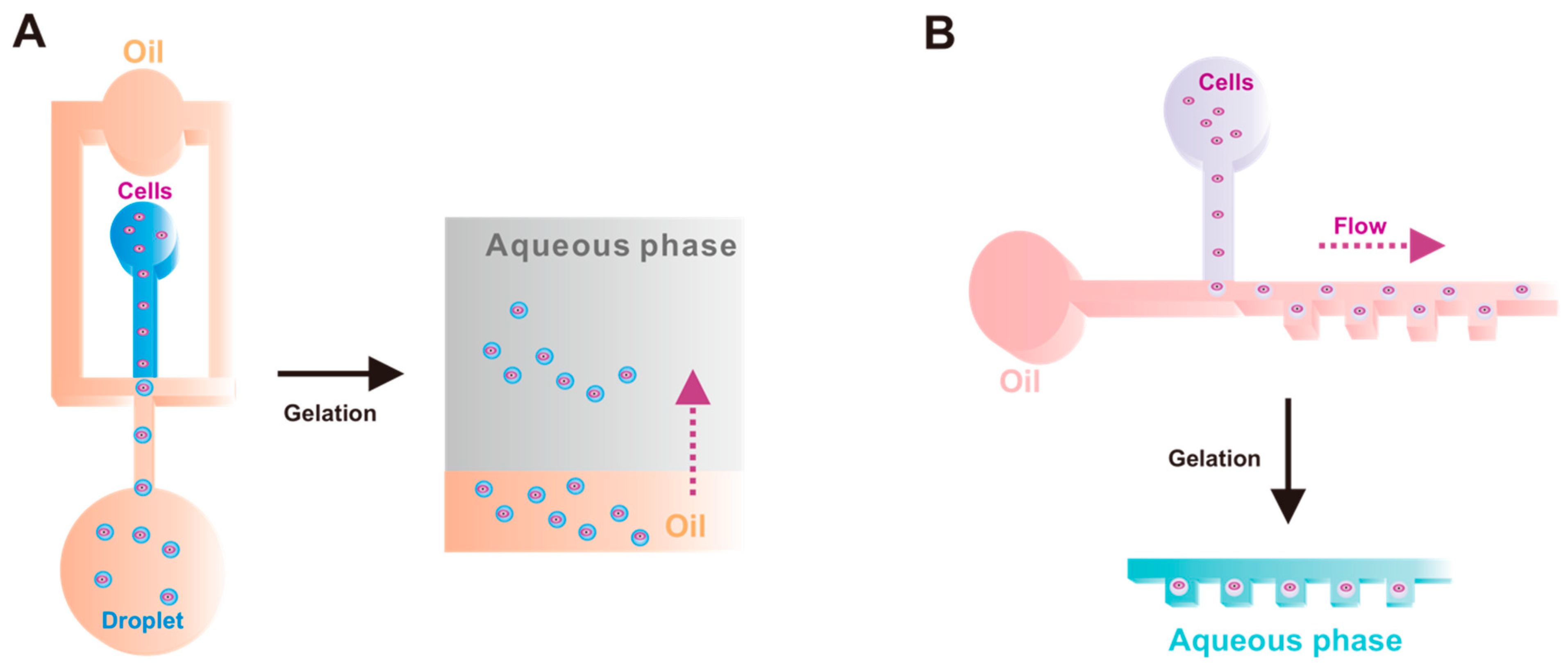 Micromachines 14 00877 g002