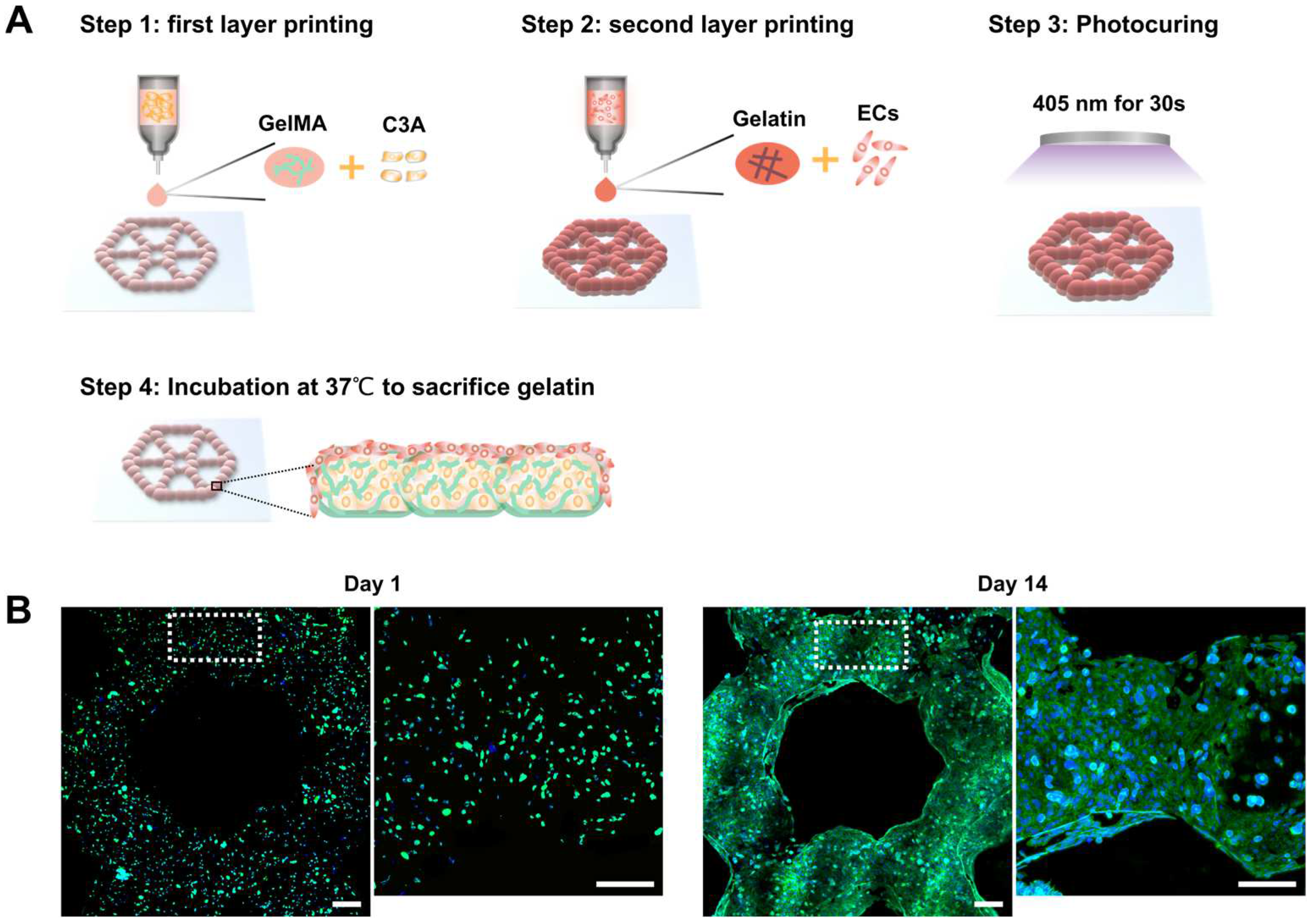 Micromachines 14 00878 g004