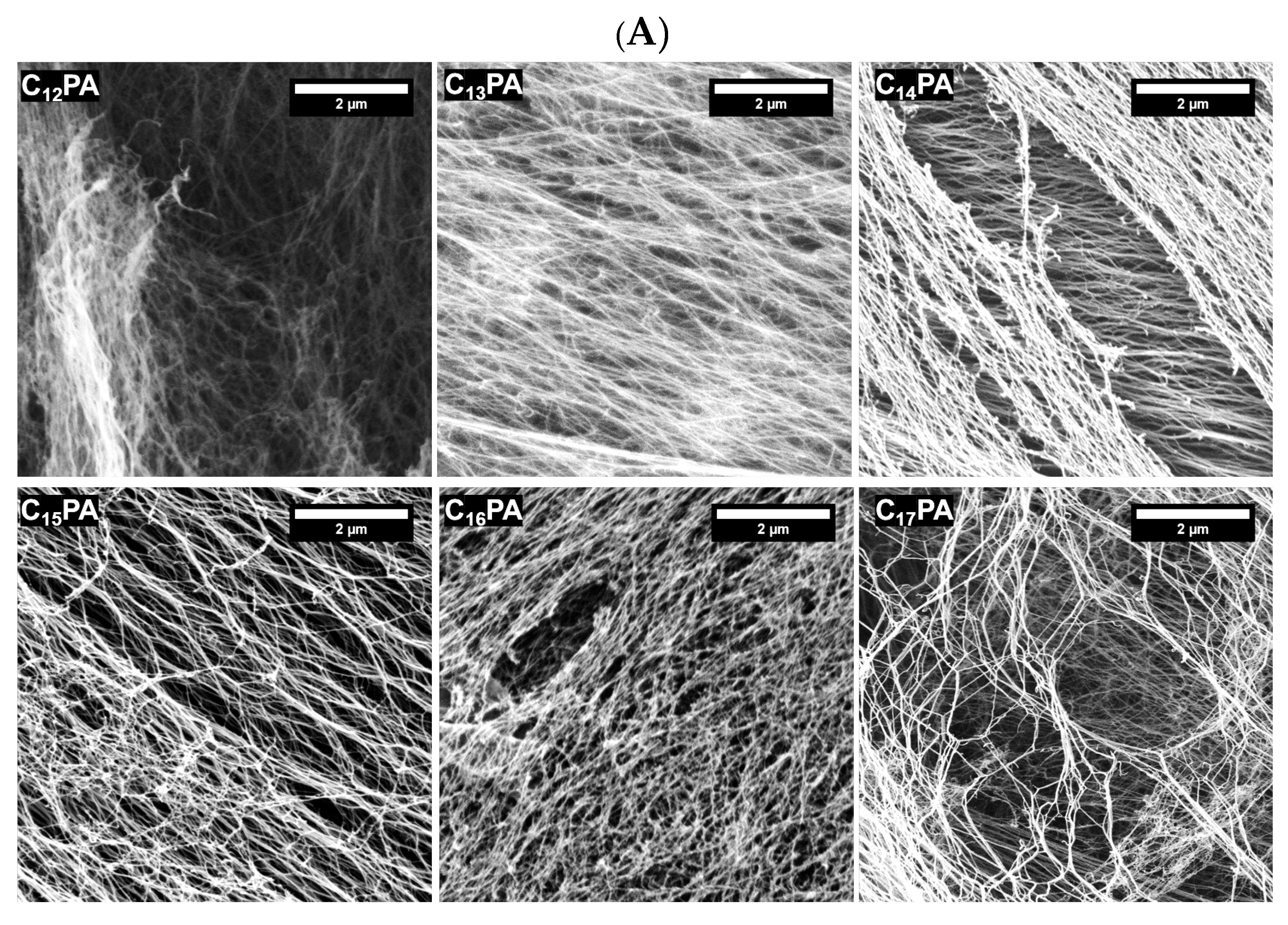 Micromachines 14 00883 g003a Micromachines 14 00883 g003a