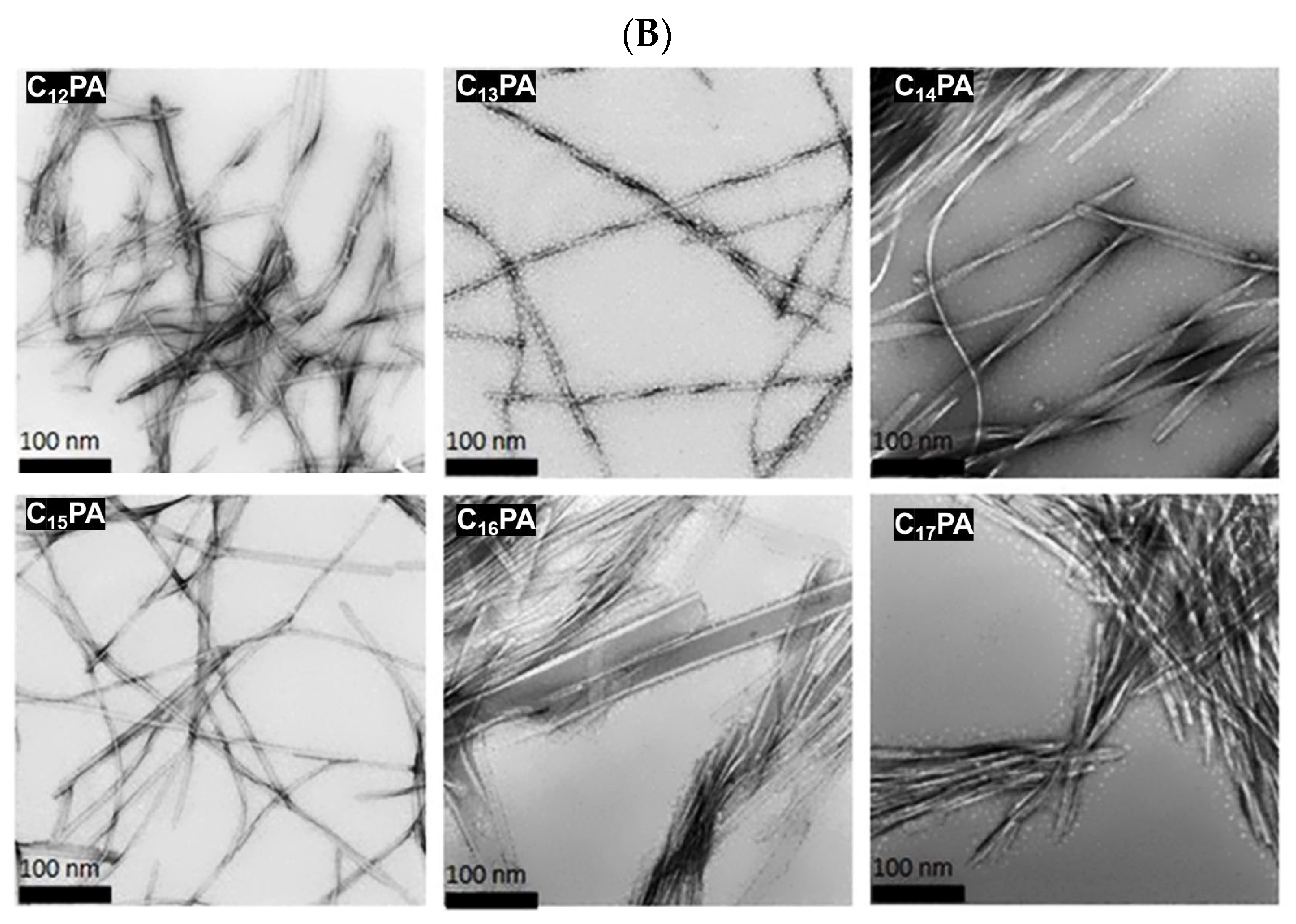 Micromachines 14 00883 g003b Micromachines 14 00883 g003b