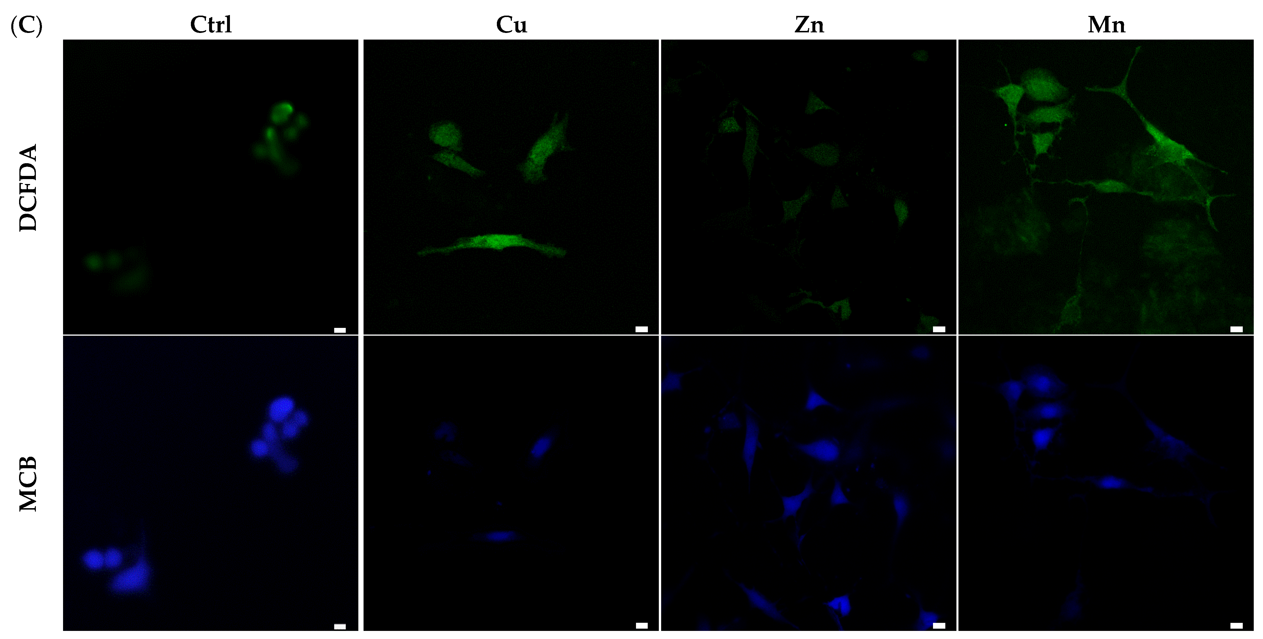 Micromachines 14 00883 g007b Micromachines 14 00883 g007b