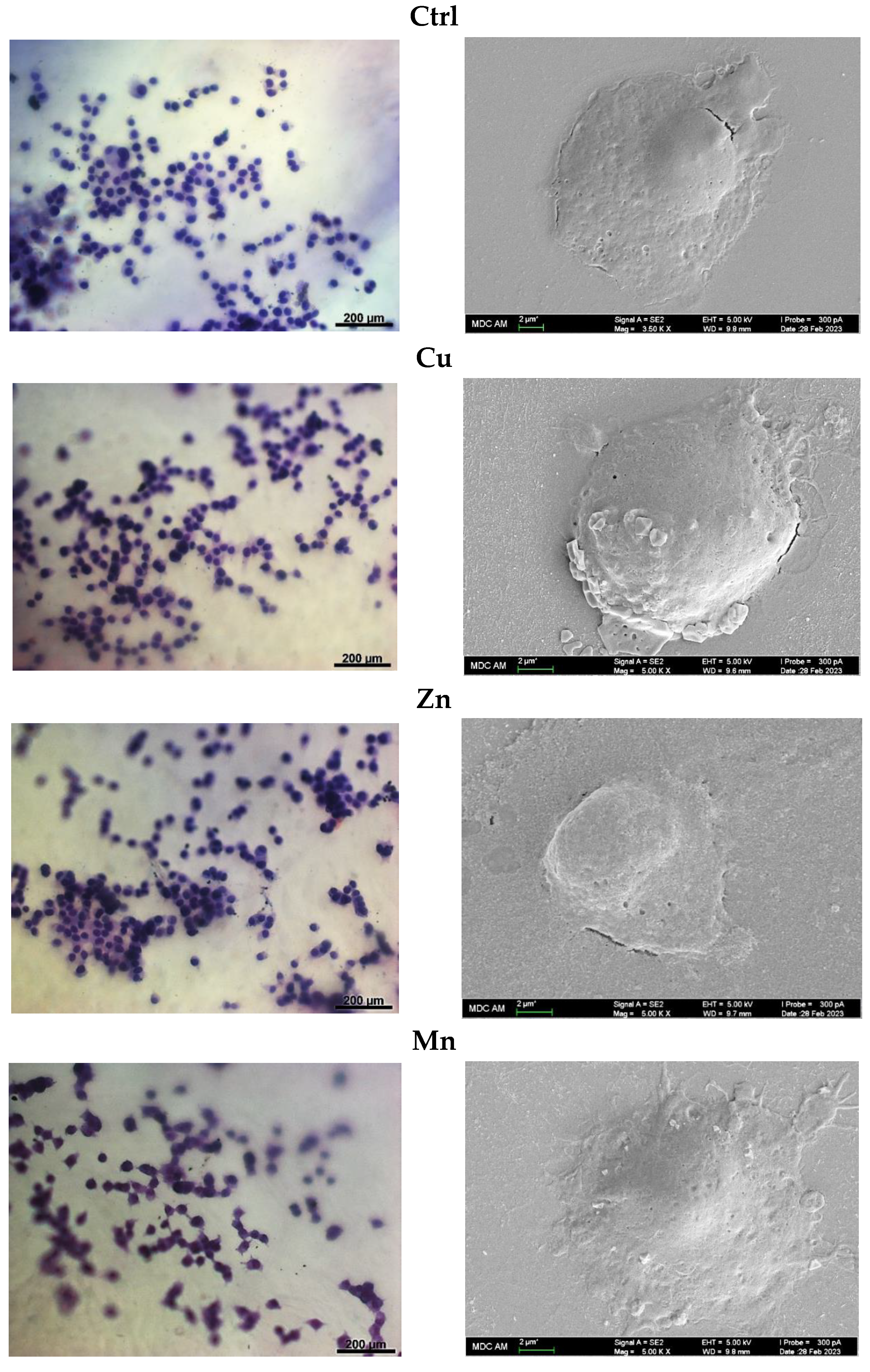 Micromachines 14 00883 g008 Micromachines 14 00883 g008