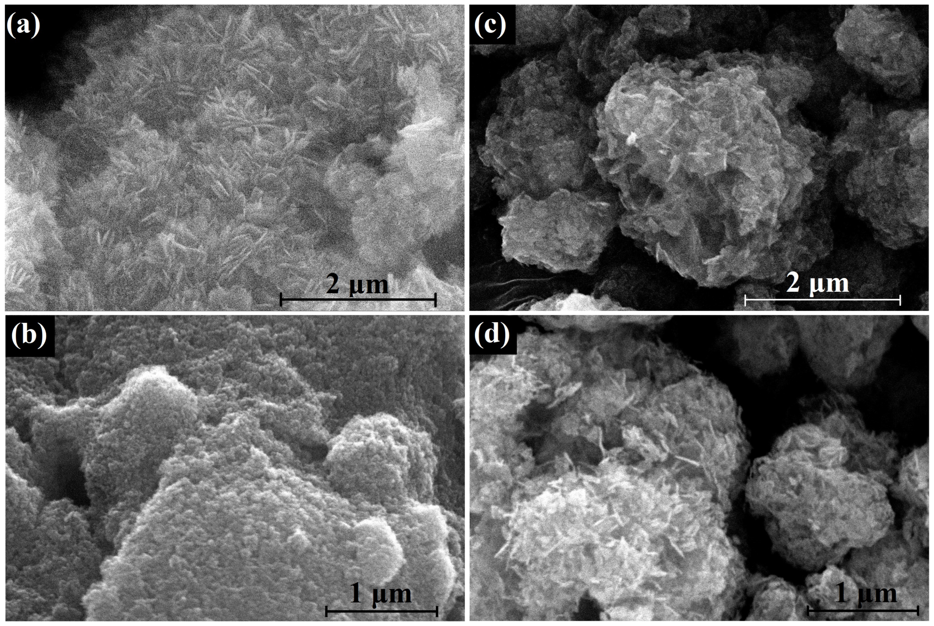 Micromachines 14 00912 g011