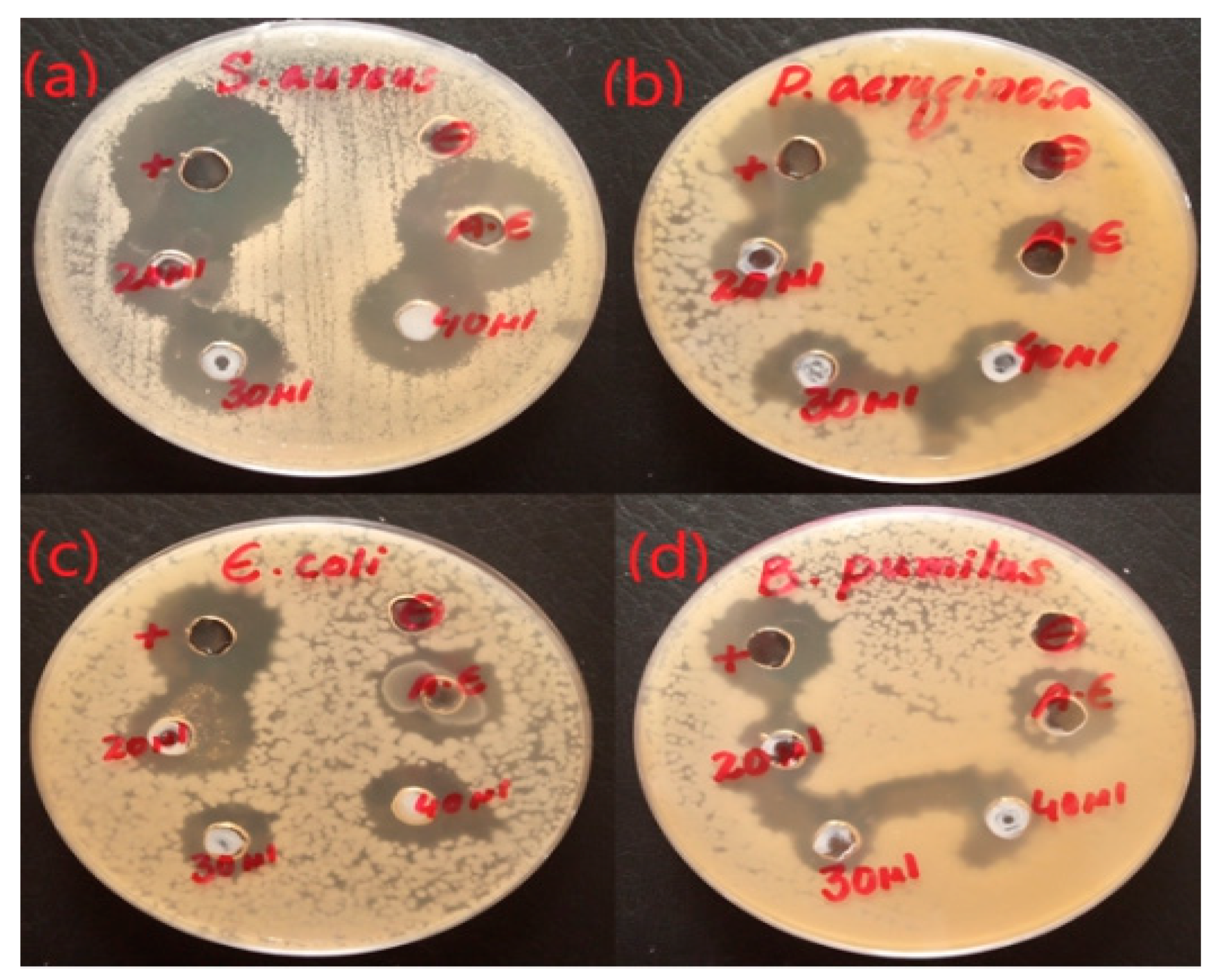 Micromachines 14 00928 g007 Micromachines 14 00928 g007
