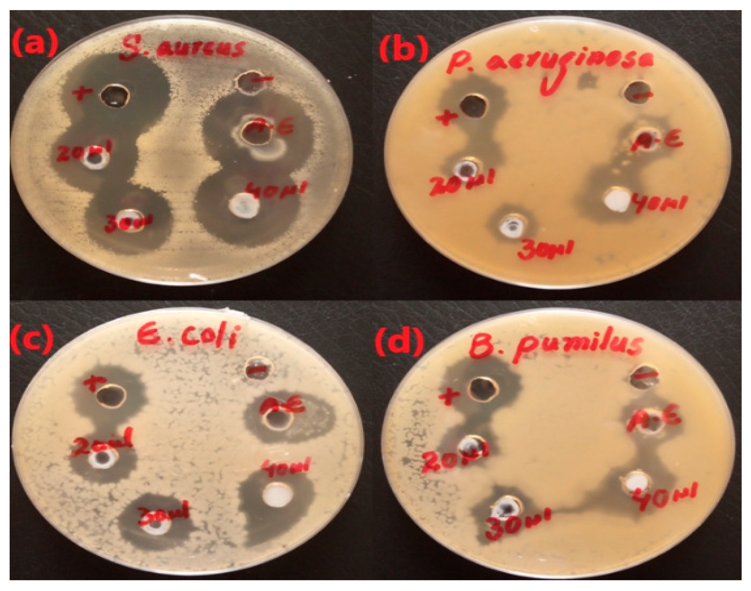 Micromachines 14 00928 g008 Micromachines 14 00928 g008