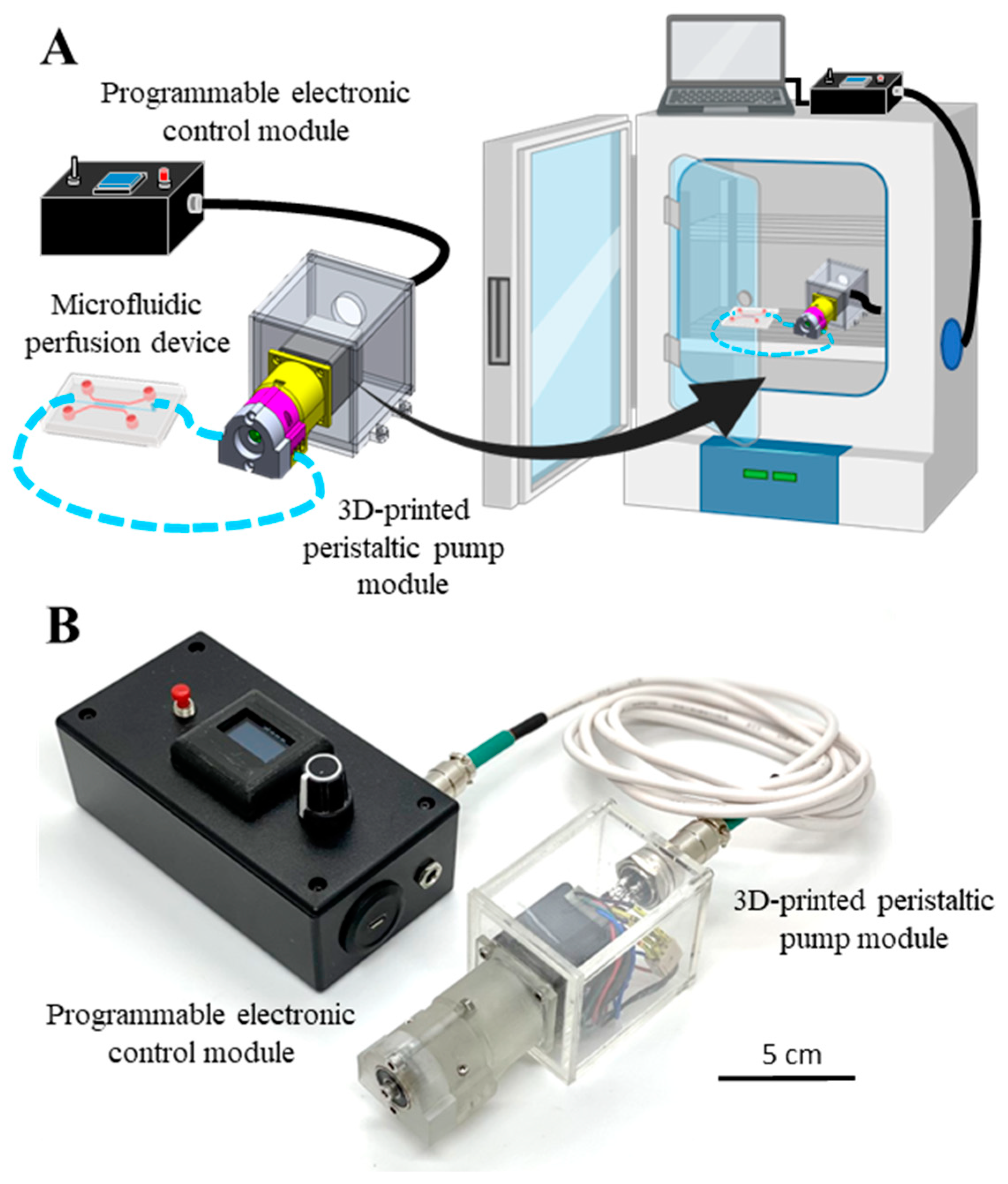 Micromachines | Free Full-Text A User-Centric 3D-Printed Modular Peristaltic Pump for Microfluidic Perfusion Applications