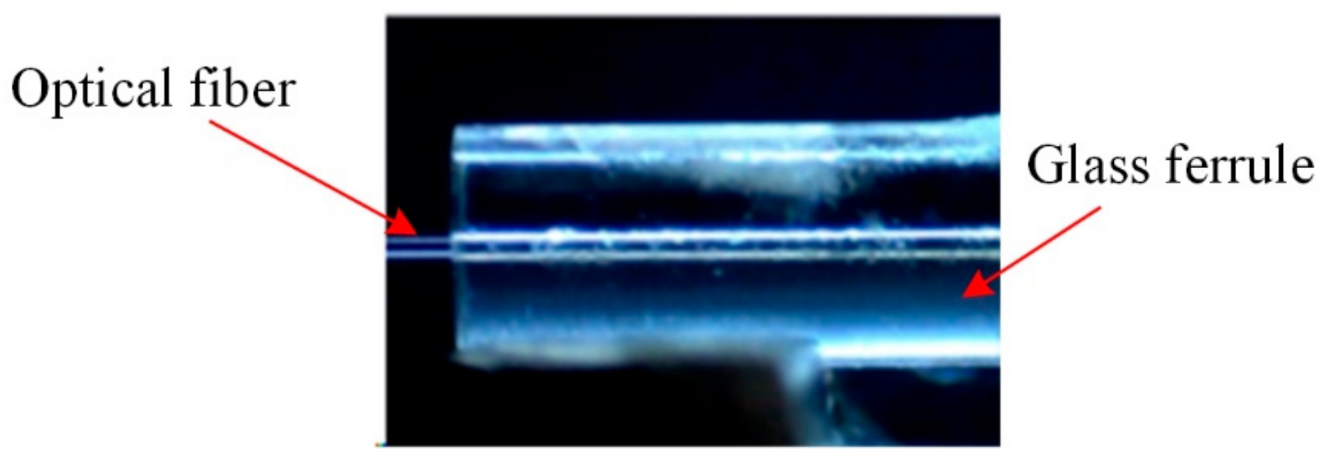 Micromachines 14 00939 g002 550