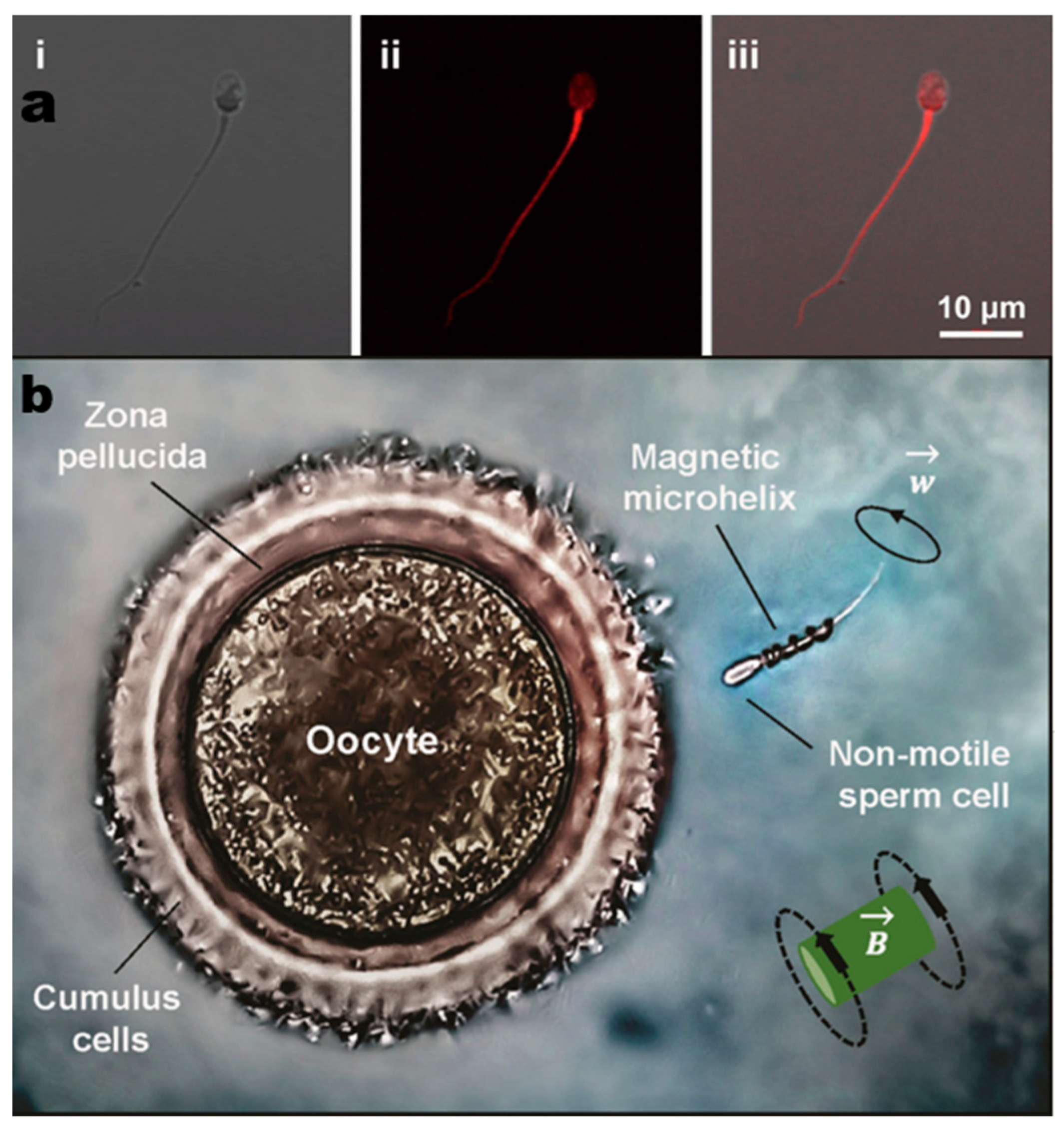 Micromachines 14 00983 g003