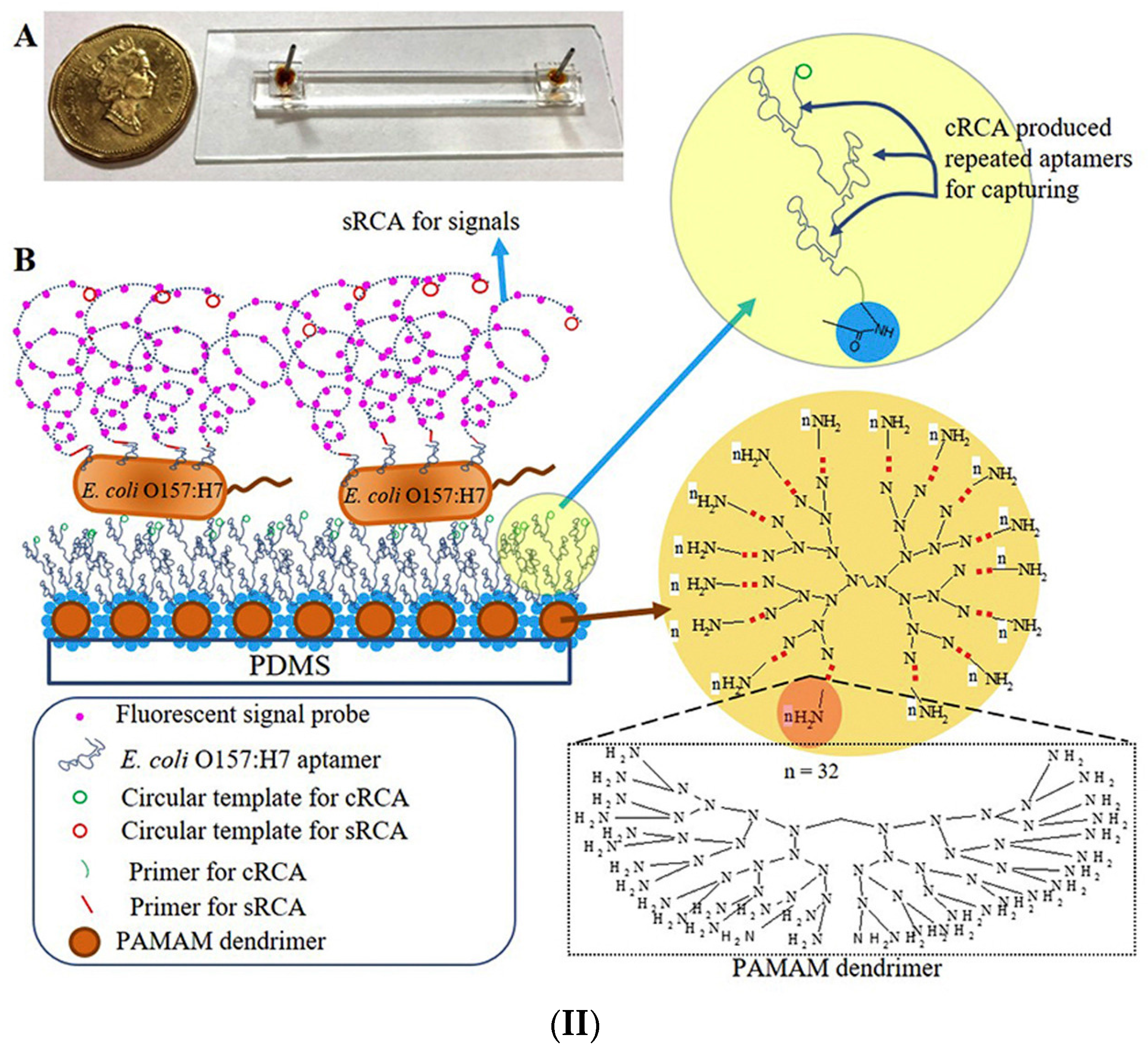 Micromachines 14 00986 g011b
