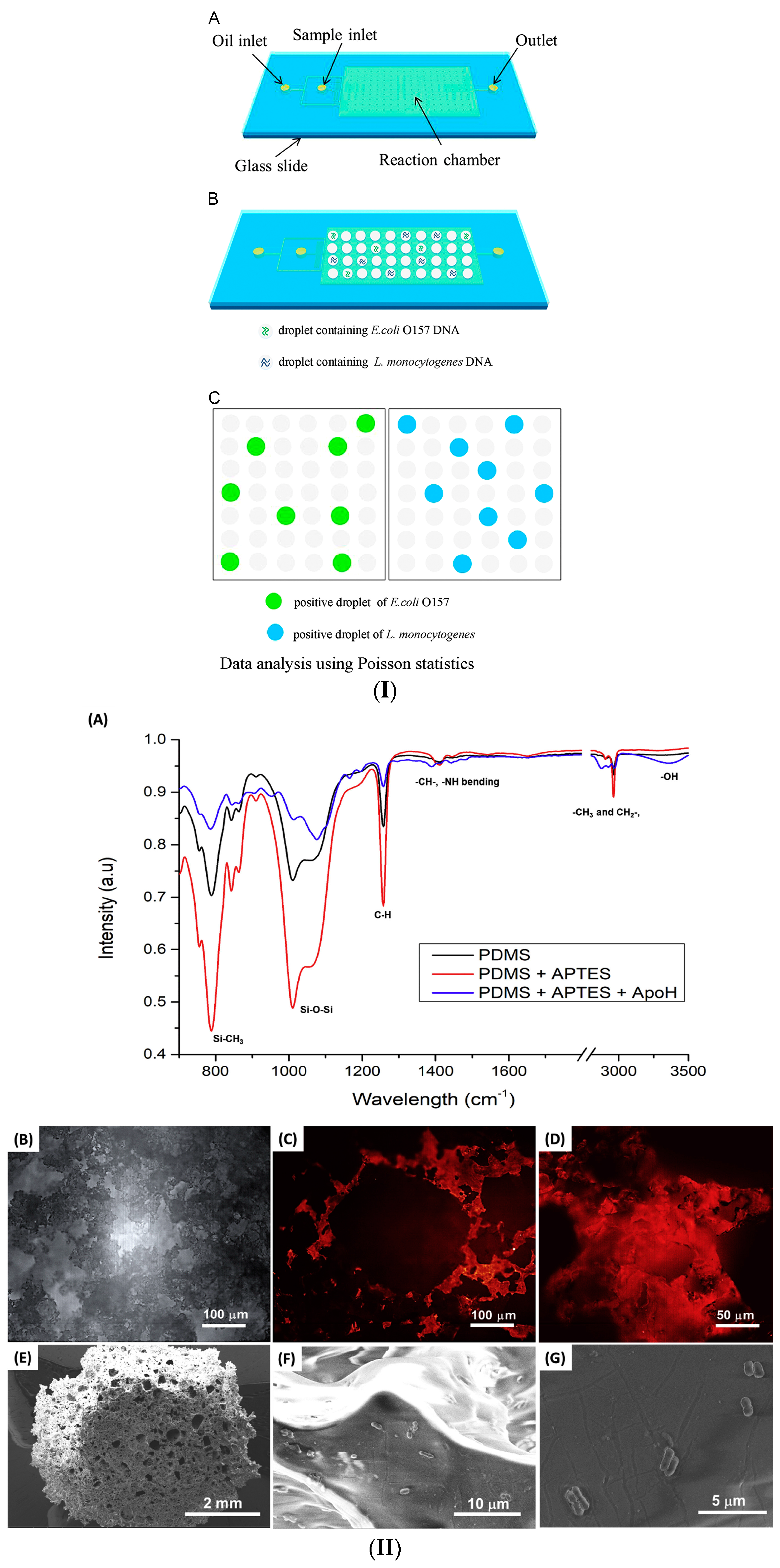 Micromachines 14 00986 g013