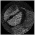 Micromachines 14 00989 i044 Micromachines 14 00989 i044