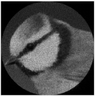 Micromachines 14 00989 i045 Micromachines 14 00989 i045