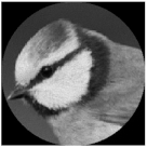 Micromachines 14 00989 i050 Micromachines 14 00989 i050