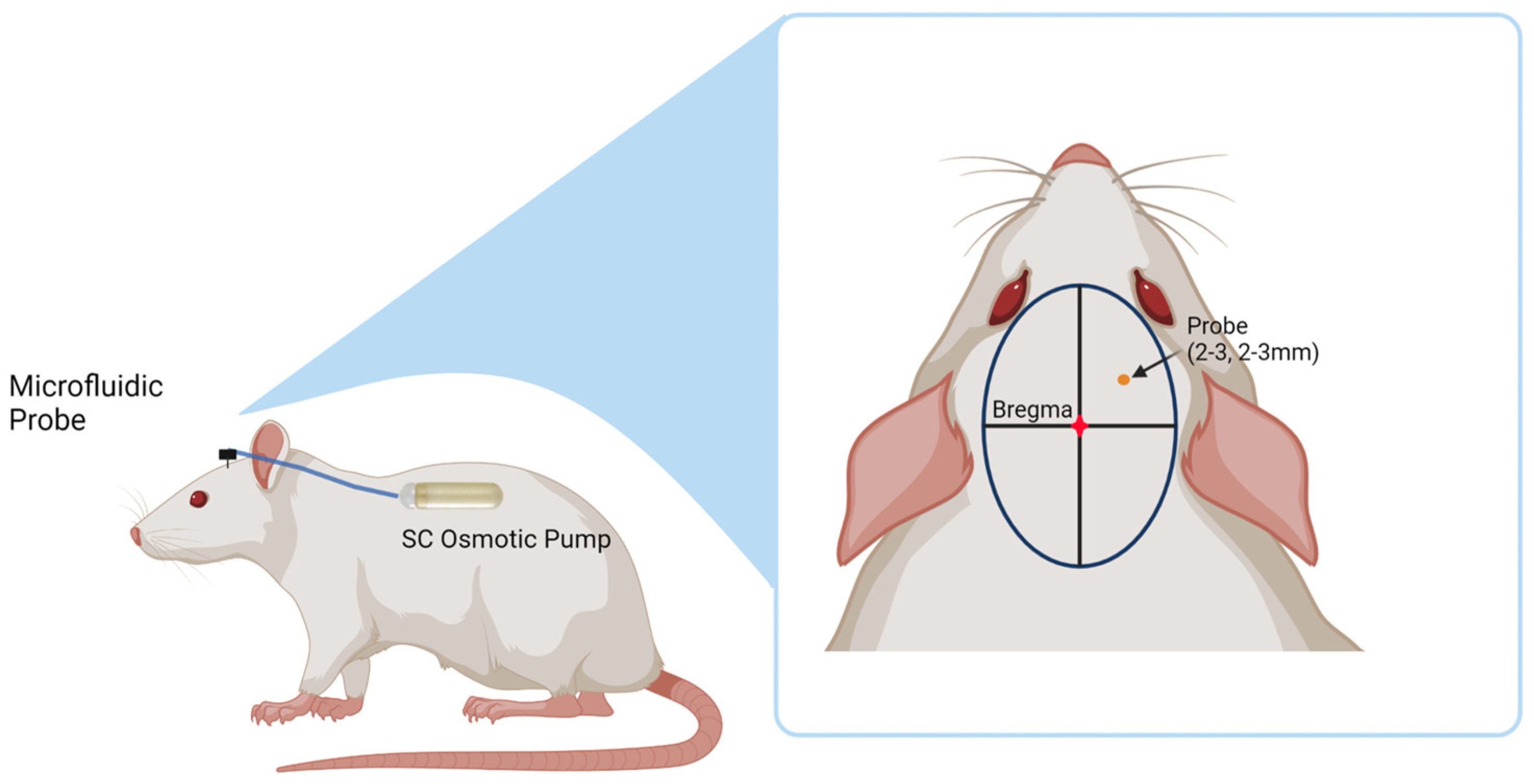 Micromachines 14 01015 g005