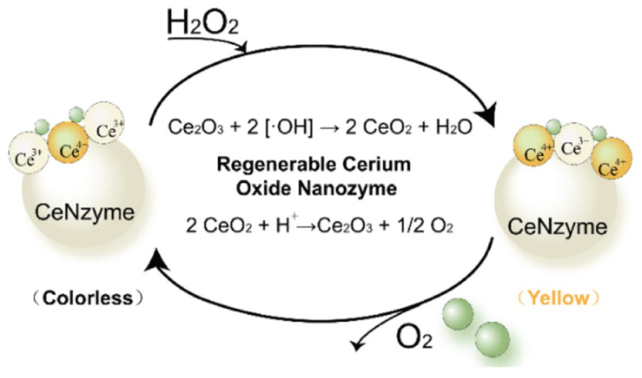 Micromachines 14 01017 g002 Micromachines 14 01017 g002