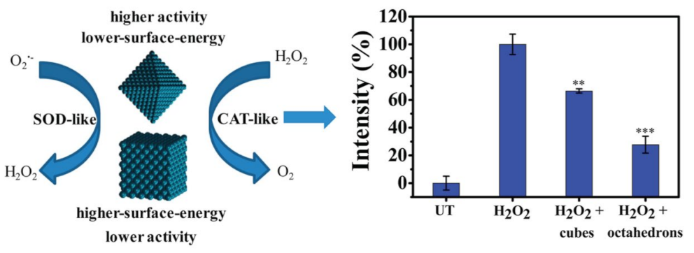 Micromachines 14 01017 g004 Micromachines 14 01017 g004