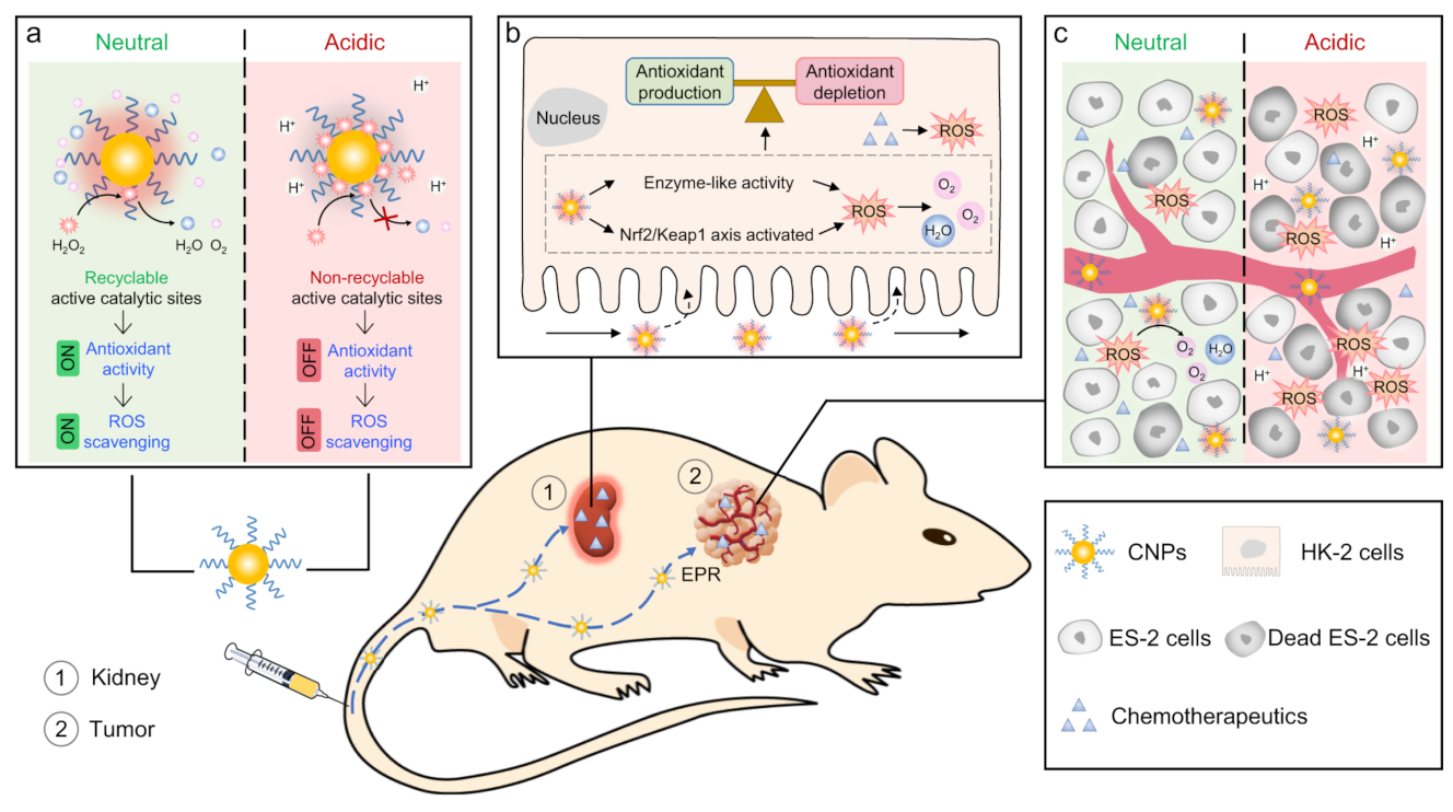 Micromachines 14 01017 g006 Micromachines 14 01017 g006