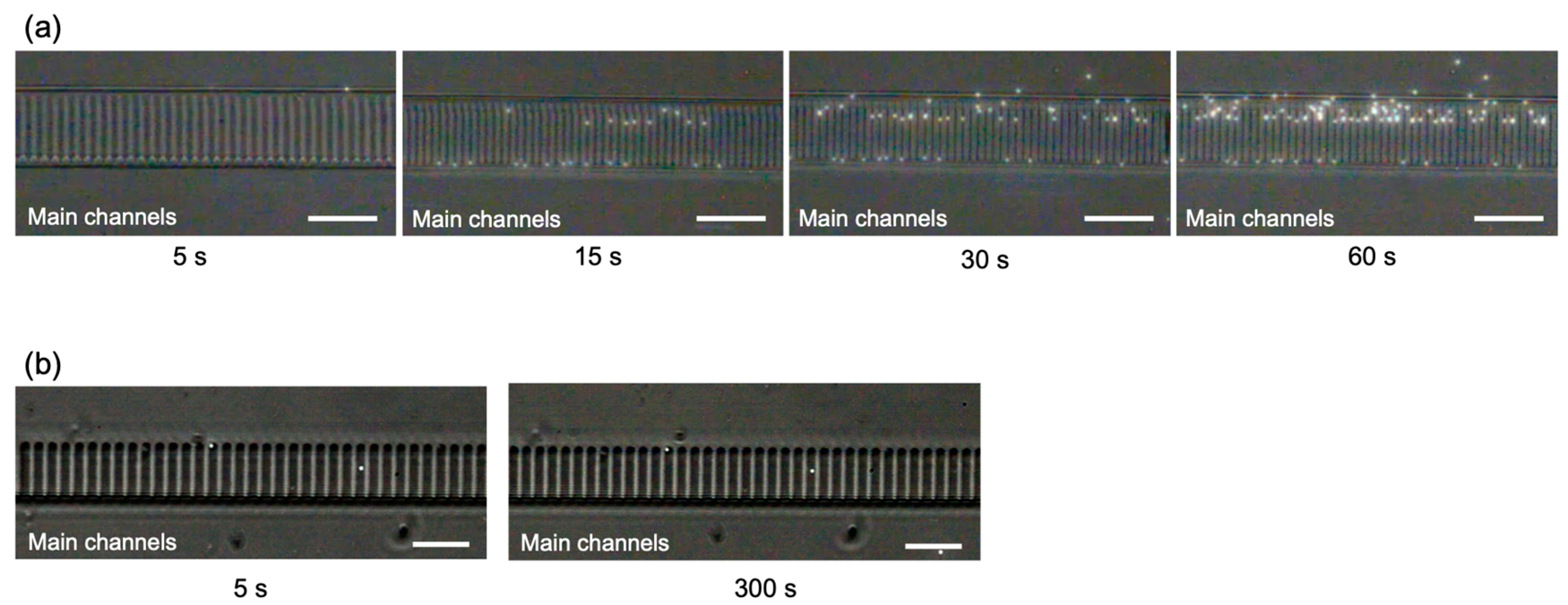 Micromachines 14 01027 g007