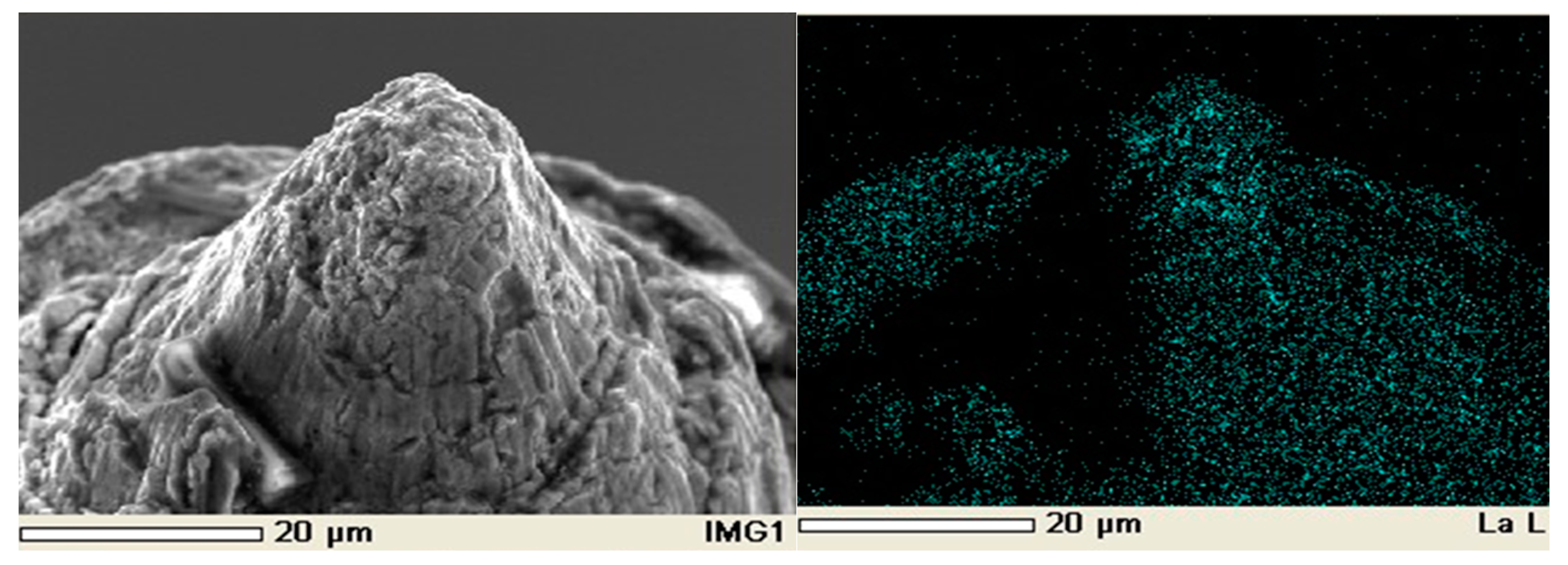 Micromachines 14 01030 g023
