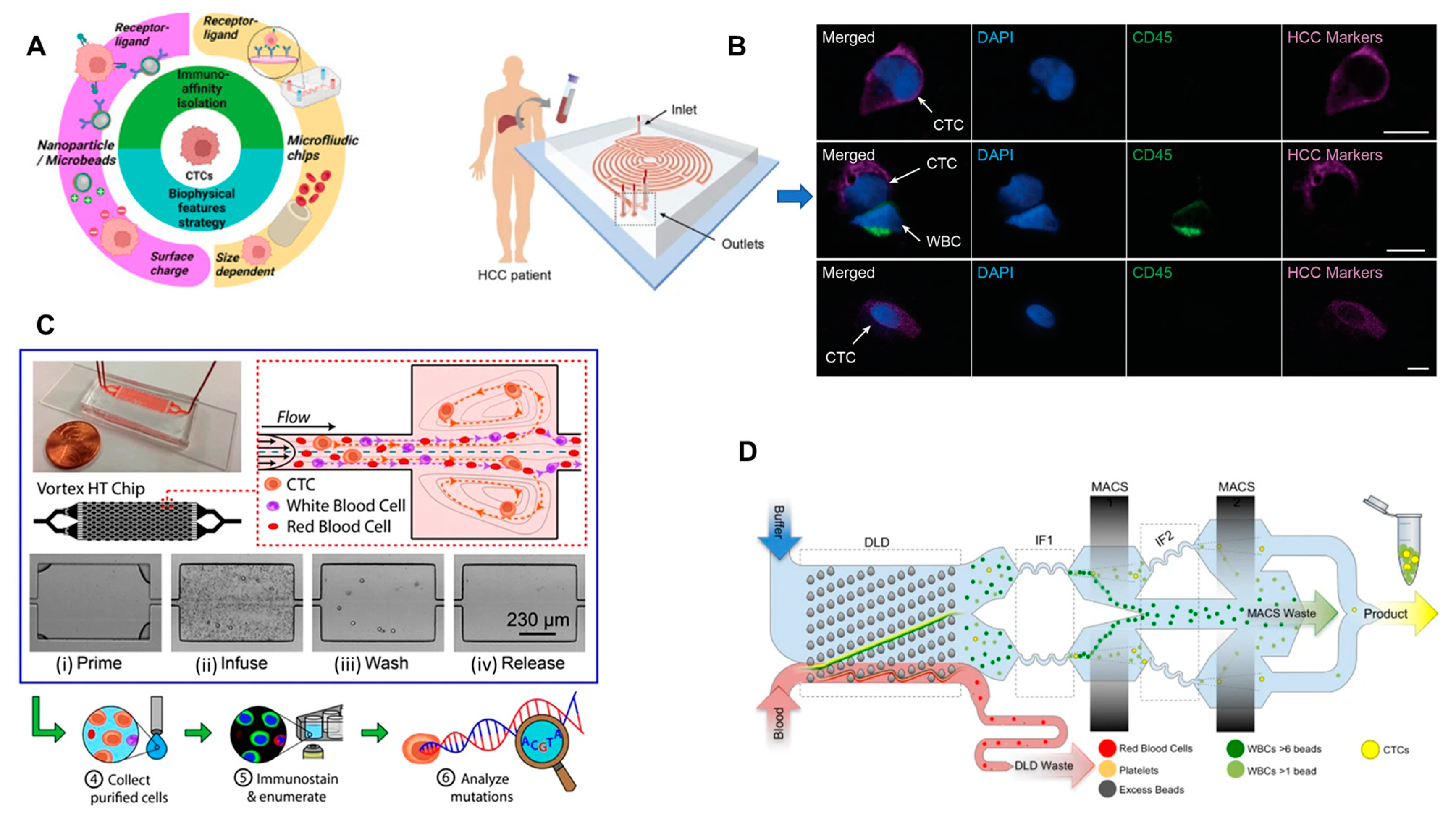 Micromachines 14 01035 g002