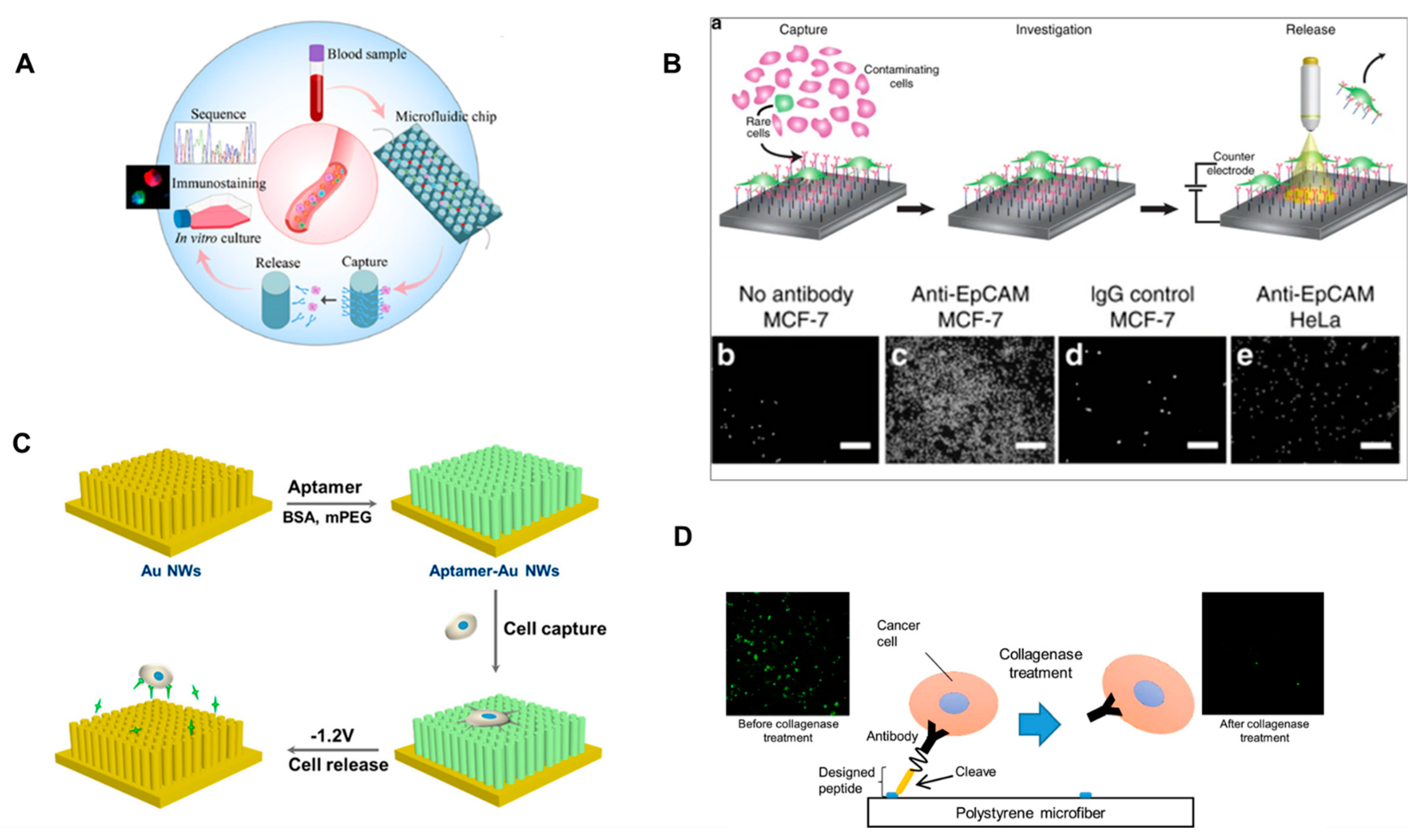 Micromachines 14 01035 g003