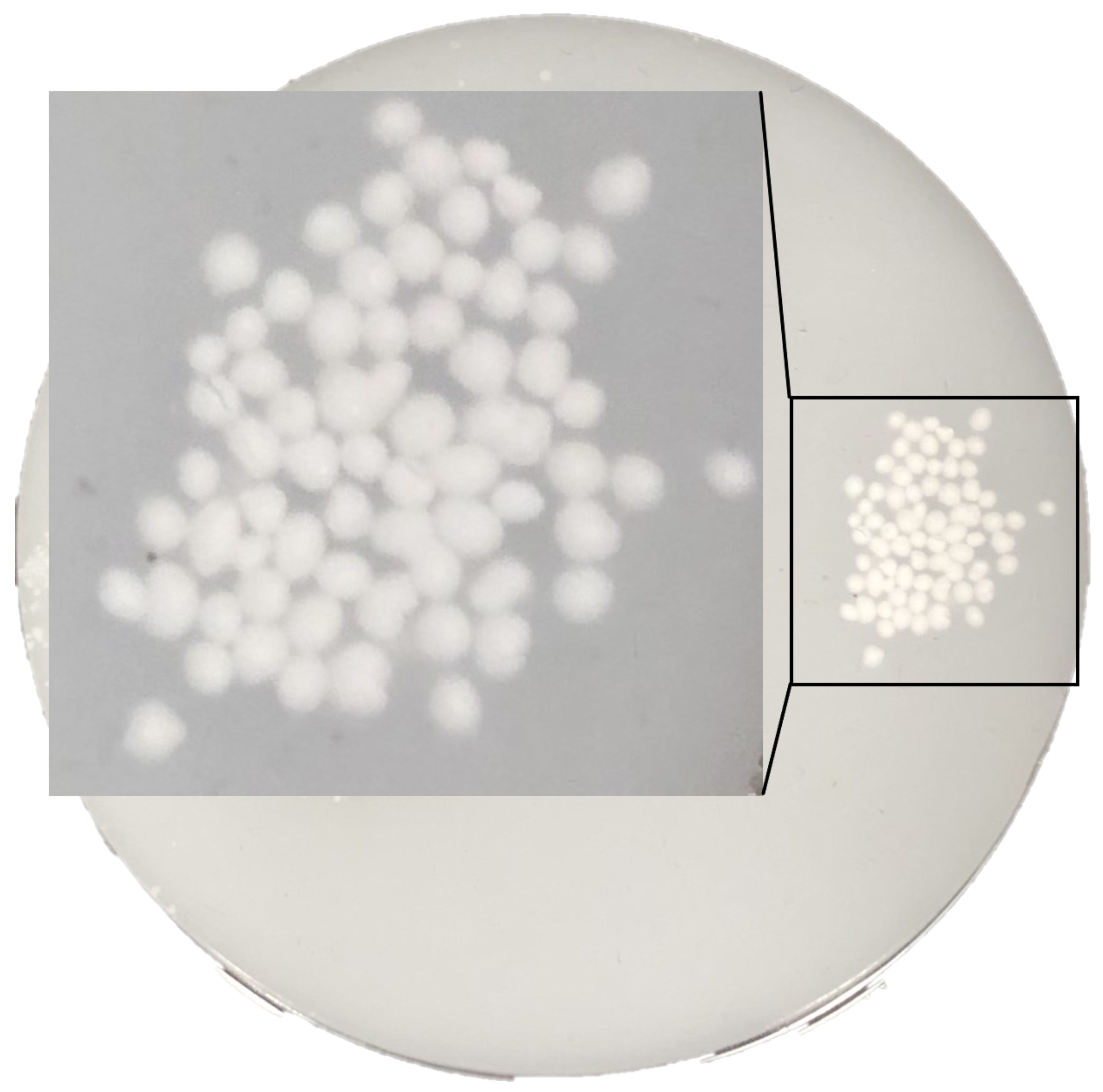 Micromachines 14 01062 g004