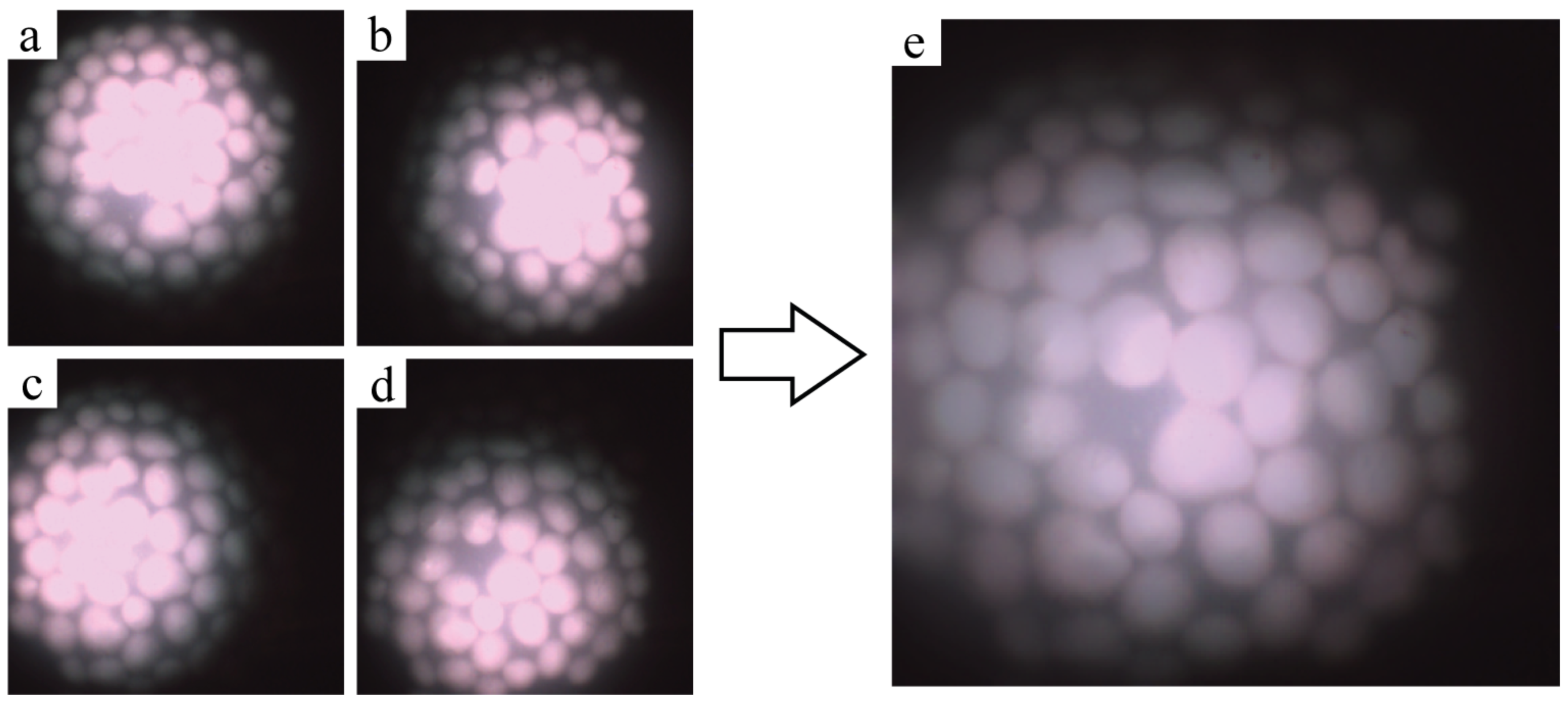 Micromachines 14 01062 g005