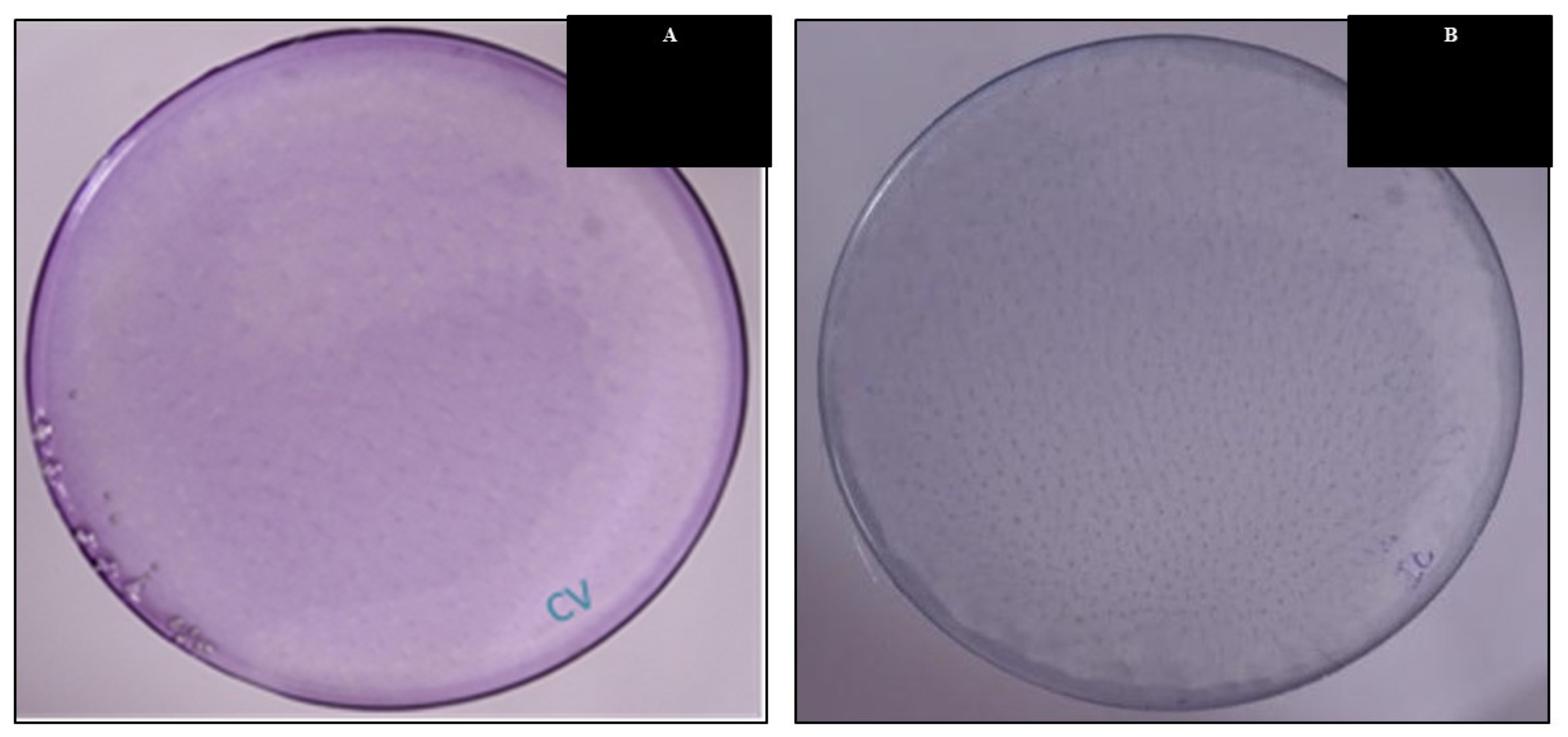 Micromachines 14 01087 g012