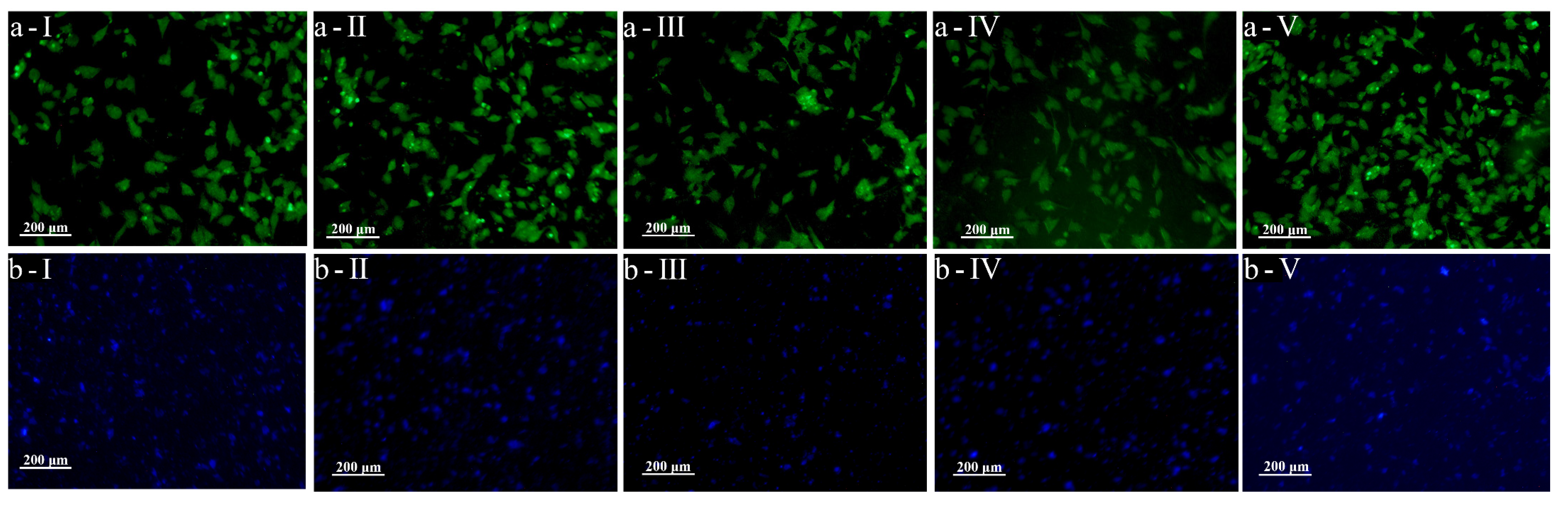 Micromachines 14 01105 g007