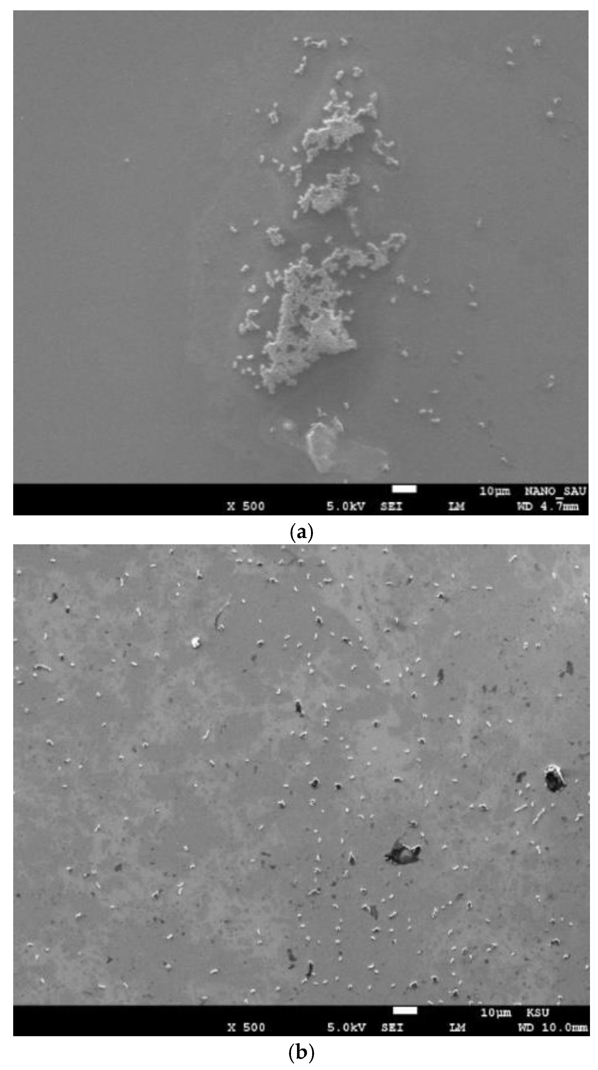 Micromachines 14 01114 g004