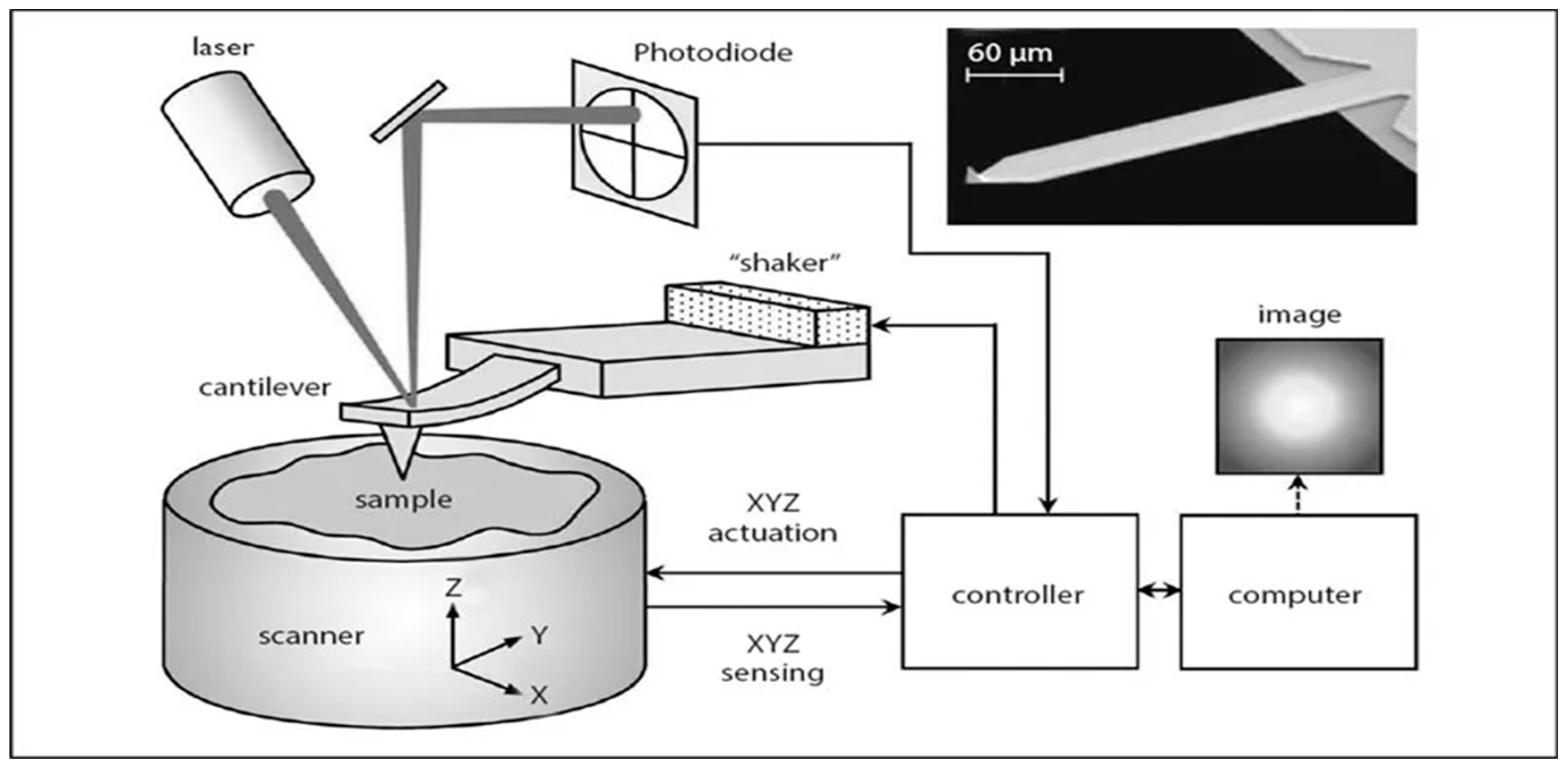 Micromachines 14 01132 g006