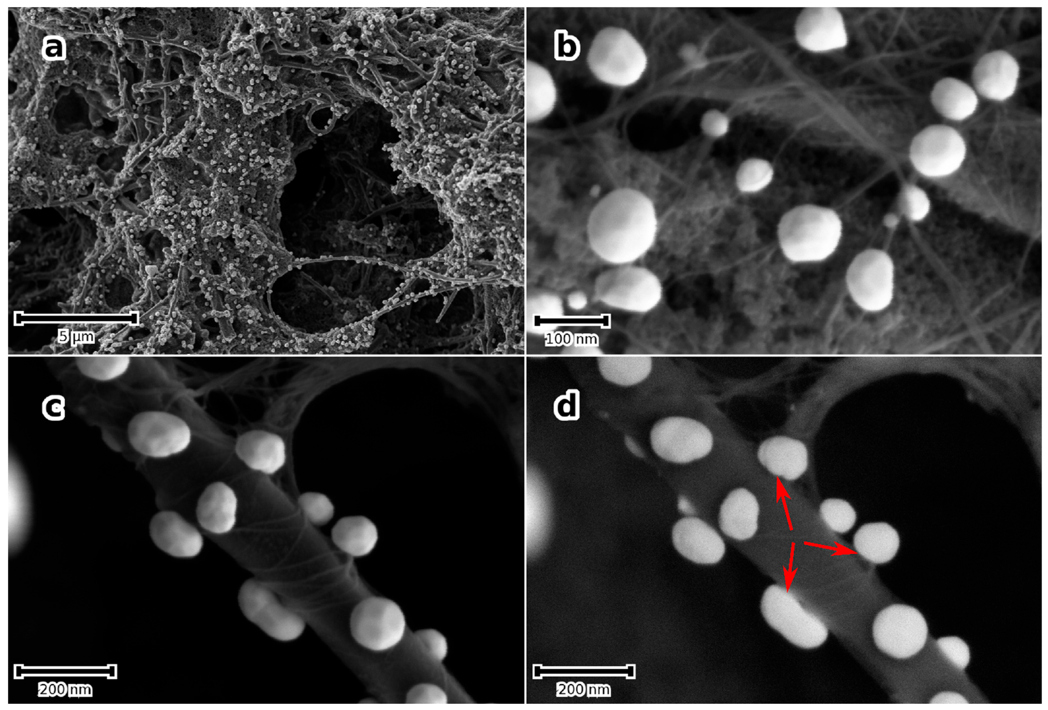 Micromachines 14 01141 g005