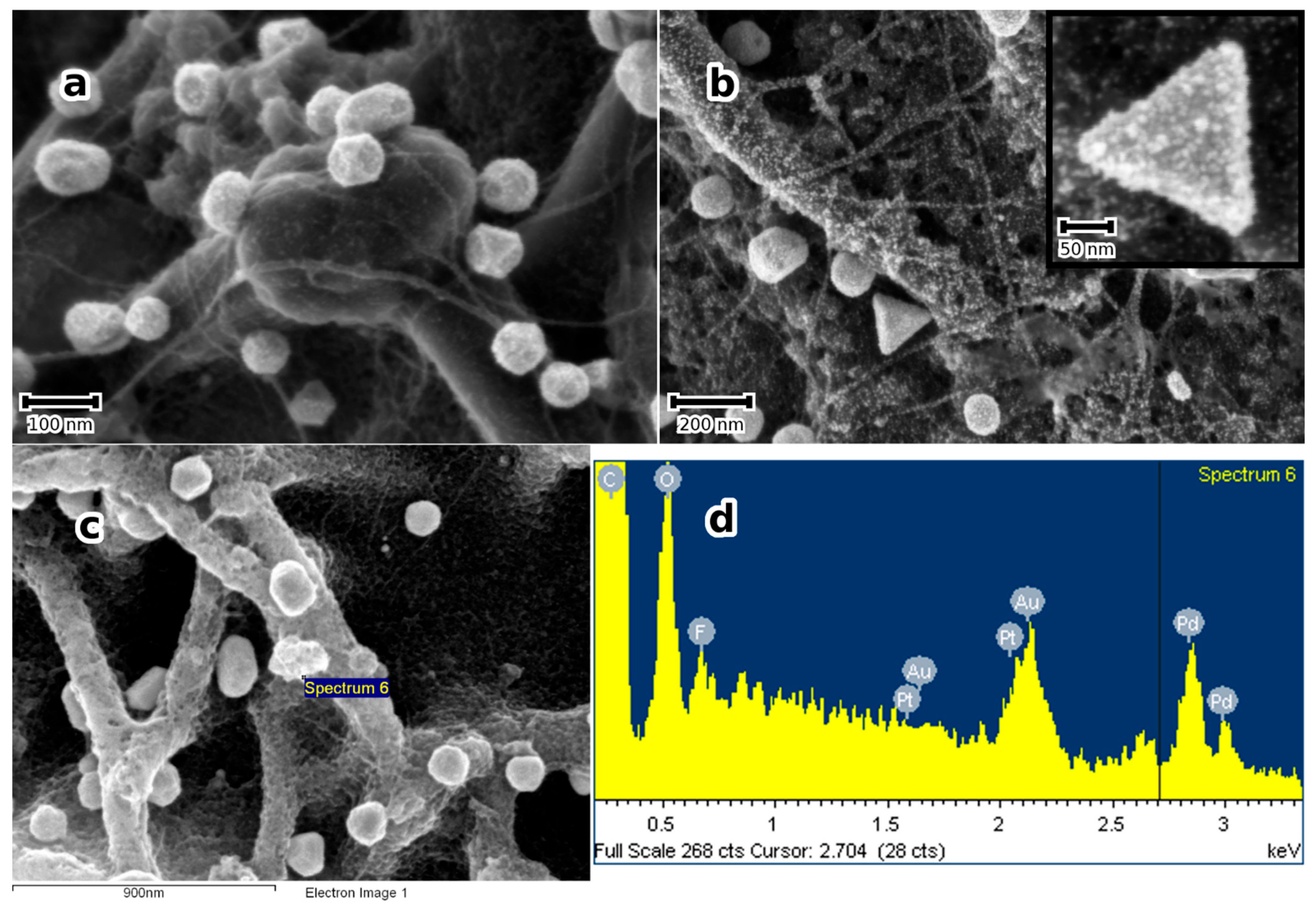 Micromachines 14 01141 g006a