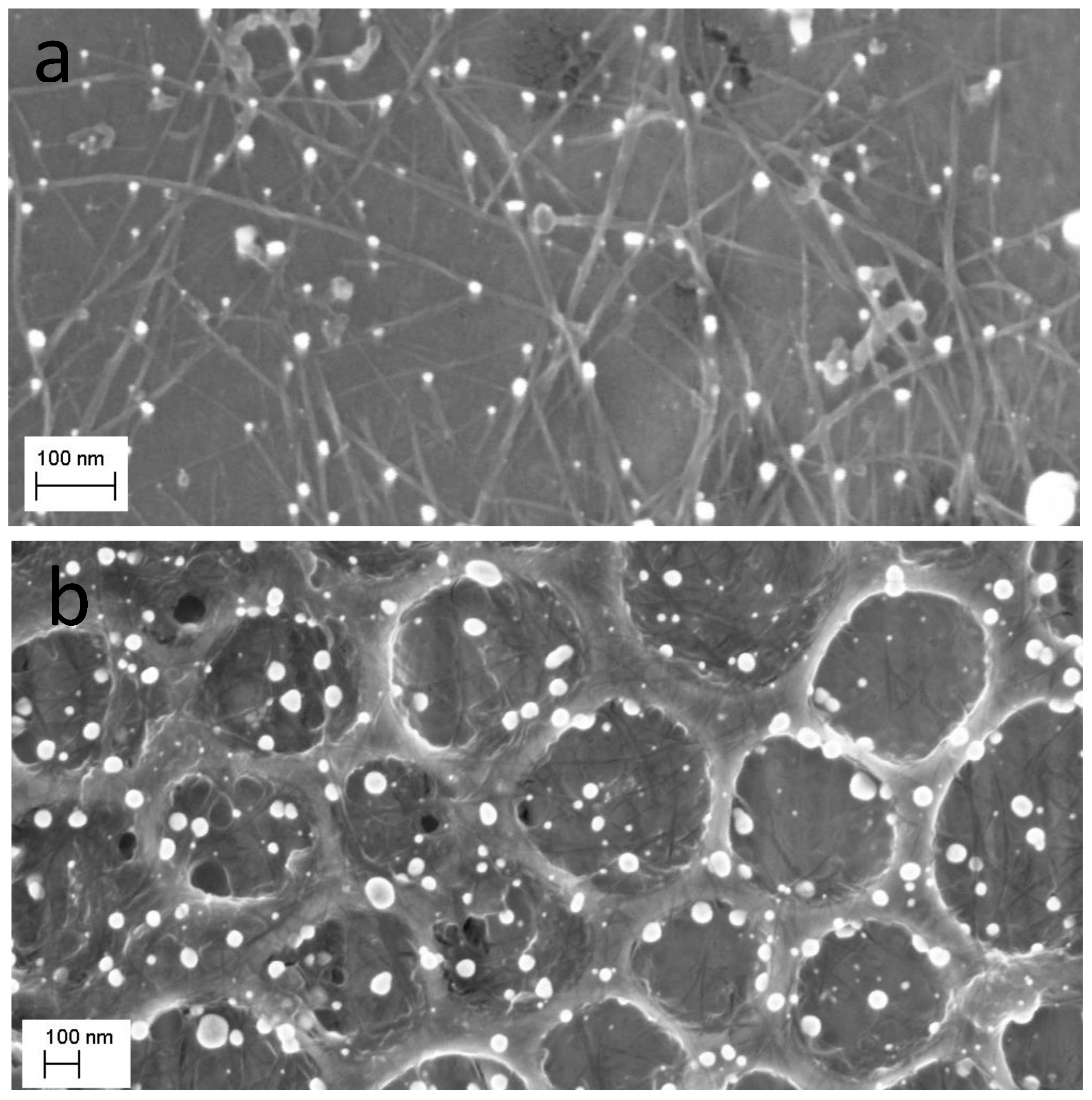 Micromachines 14 01141 g009