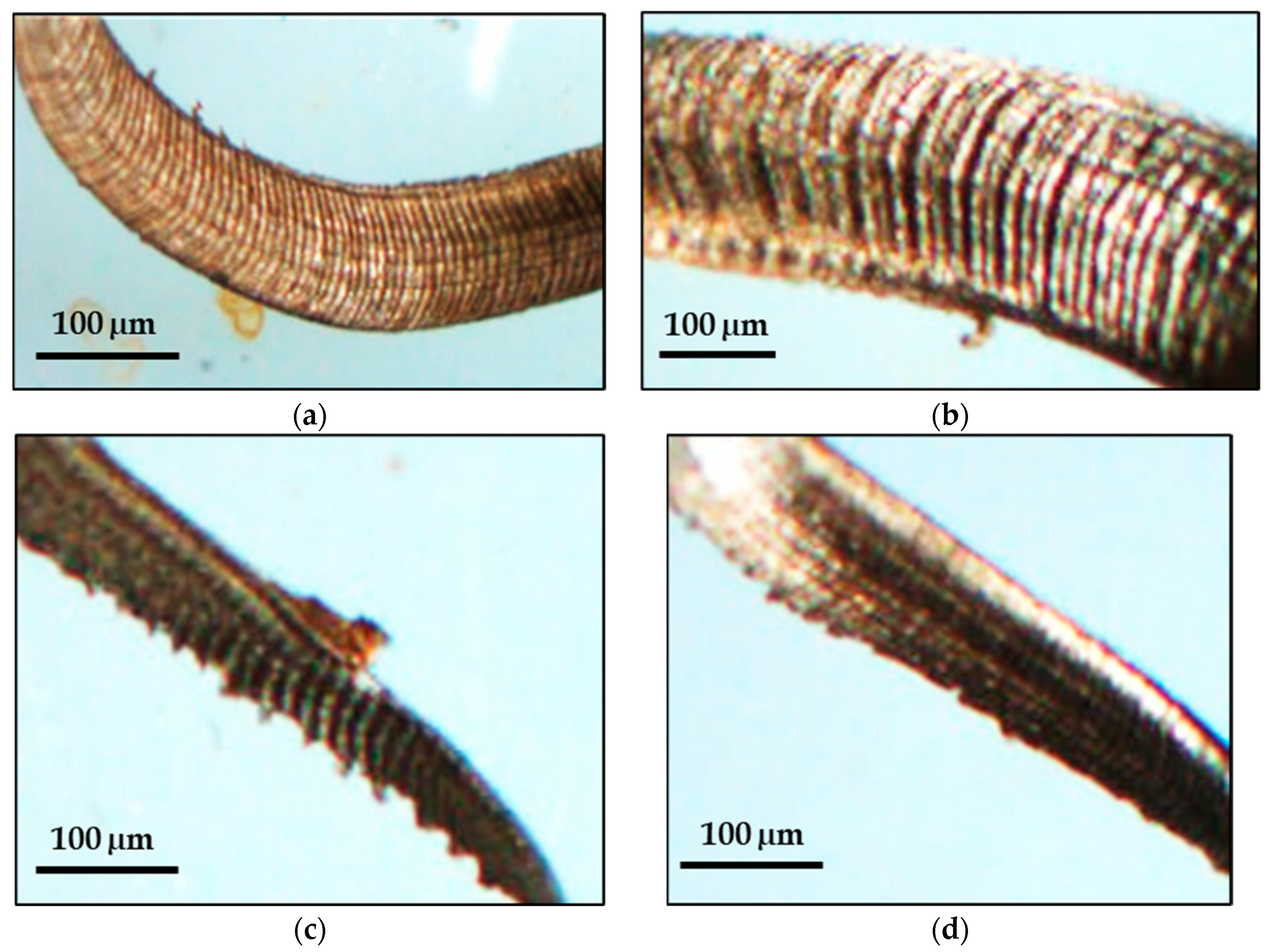 Micromachines 14 01148 g008