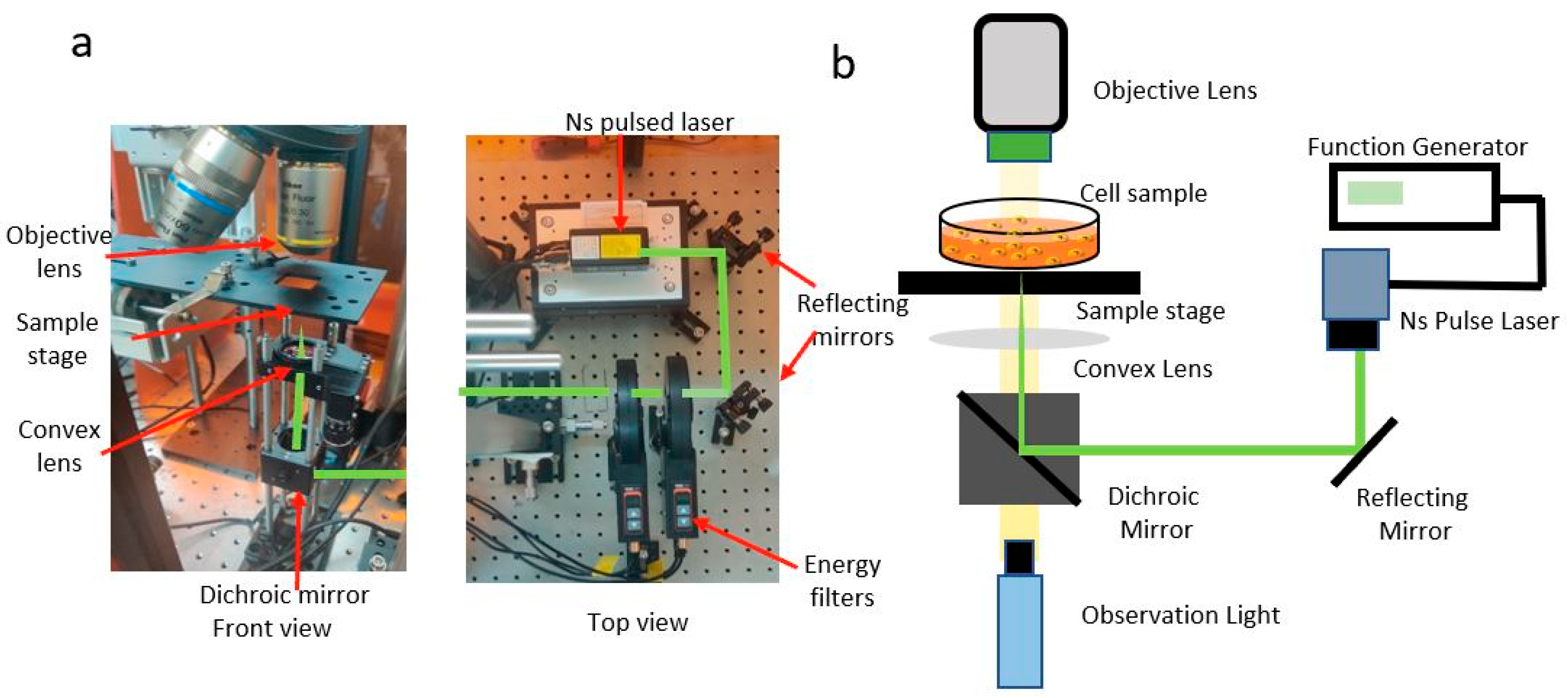 Micromachines 14 01173 g002 Micromachines 14 01173 g002