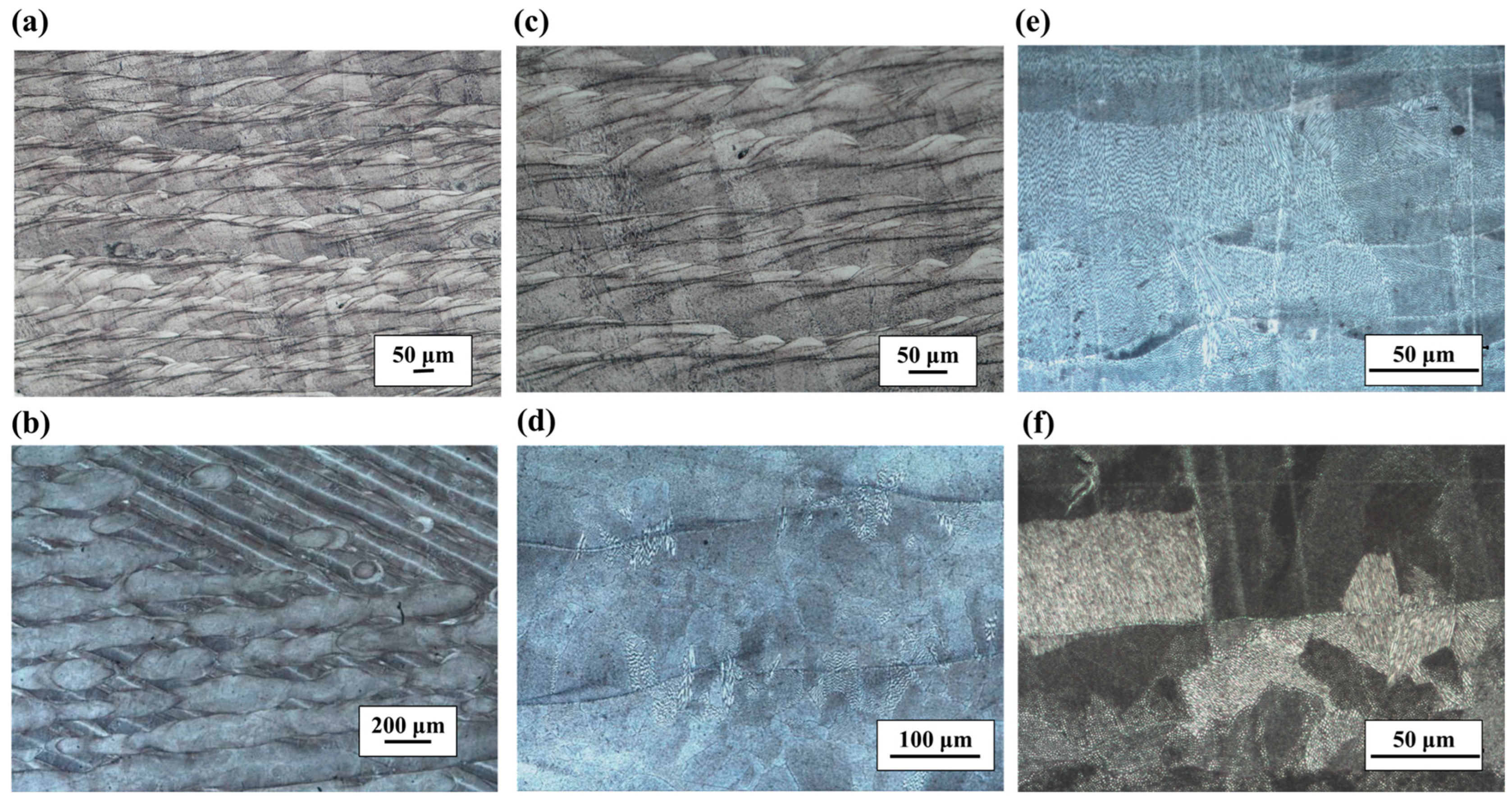 Micromachines 14 01206 g005